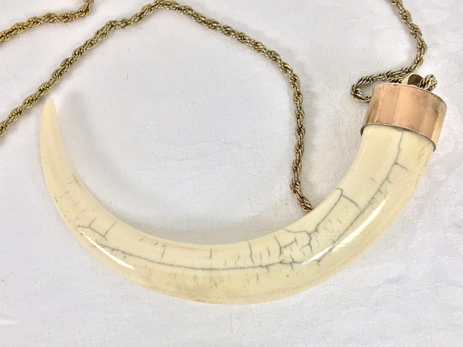 Wild Boars Tusk 14K Gold Mounted Necklace 1950s 2