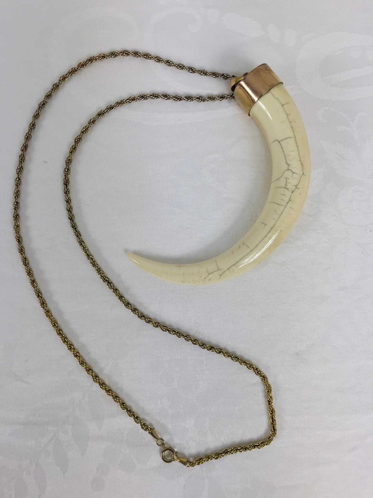 Wild boars tusk 14K gold mounted with chain from the 1950s. This beautiful piece is mounted in 14K gold, the tusk has a rich patina. With the original chain. 
Measurements are in inches:
4 1/2 measured on the side top edge to end
3 1/8 measured