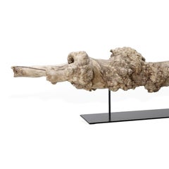 Escultura de cafeto silvestre con base de metal, pieza única, Made in Italy