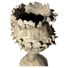 Corona Selvaggia