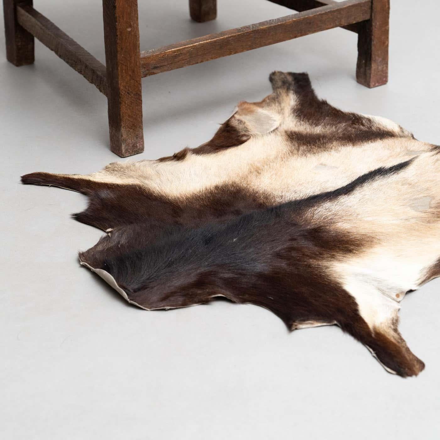 Wild Elegance: Boar Leather Rug, a Unique Statement Piece For Sale 4