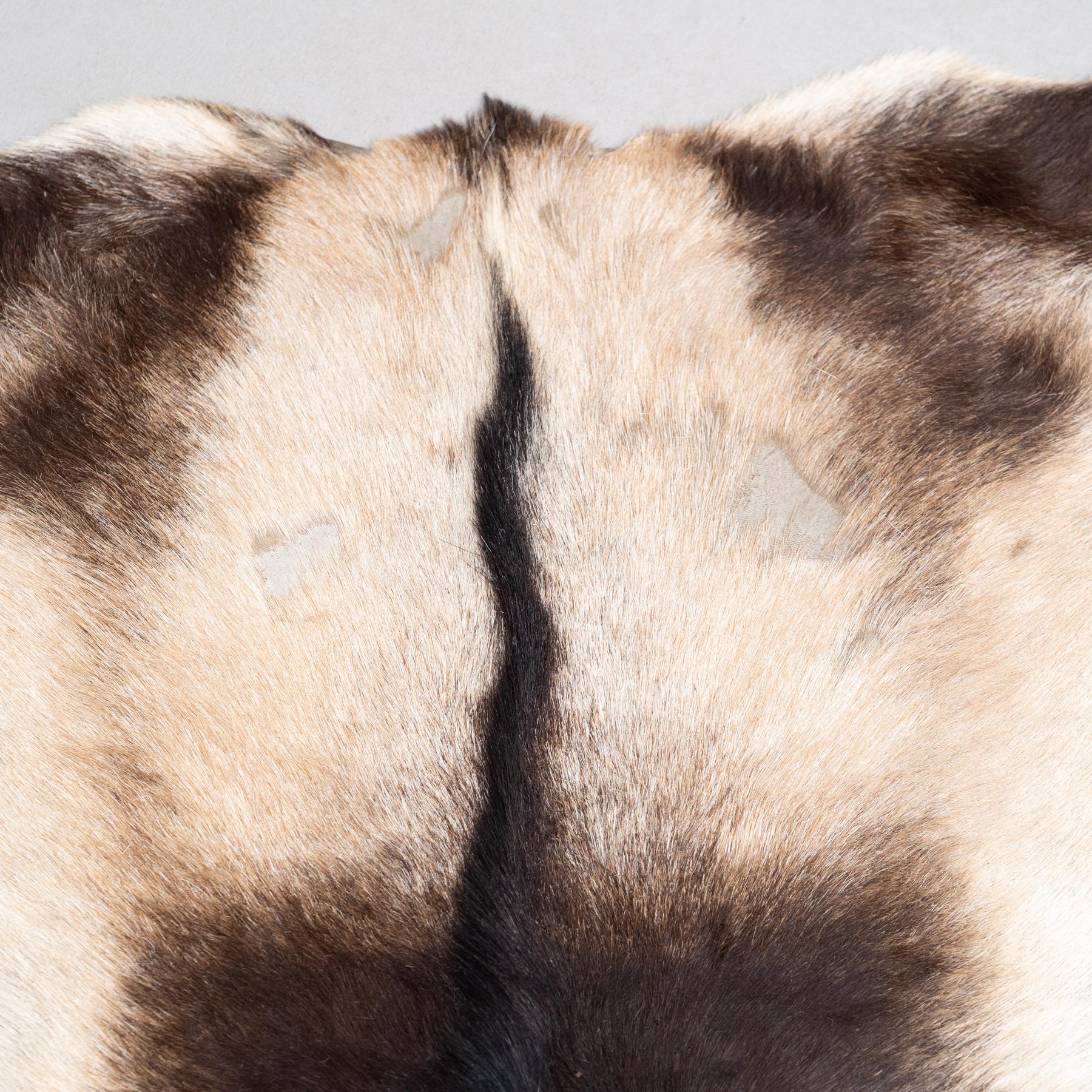Wild Elegance: Boar Leather Rug, a Unique Statement Piece For Sale 6