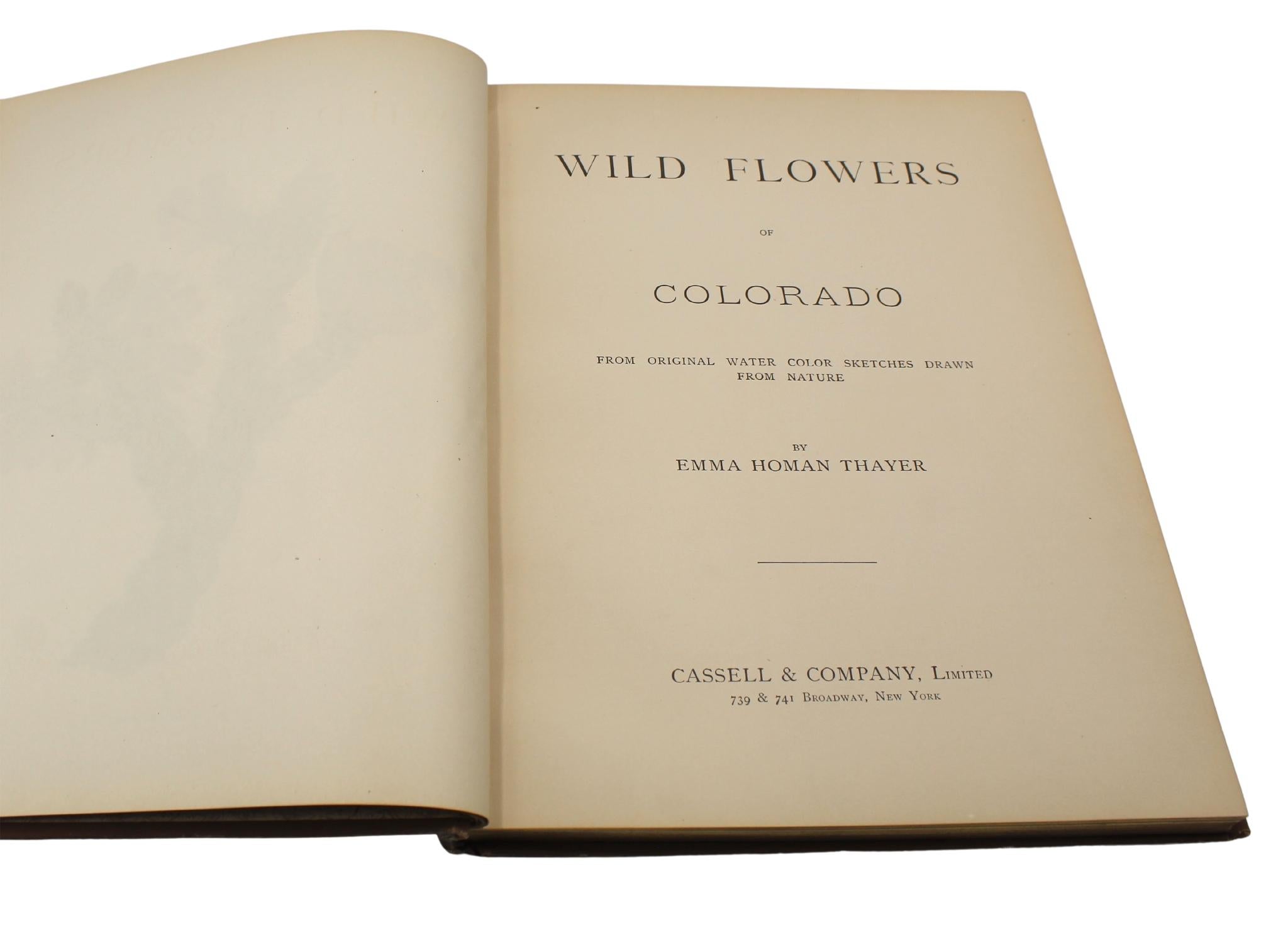 Wild Flowers of Colorado by Emma Homan Thayer, First Edition, 1885 In Good Condition For Sale In Colorado Springs, CO