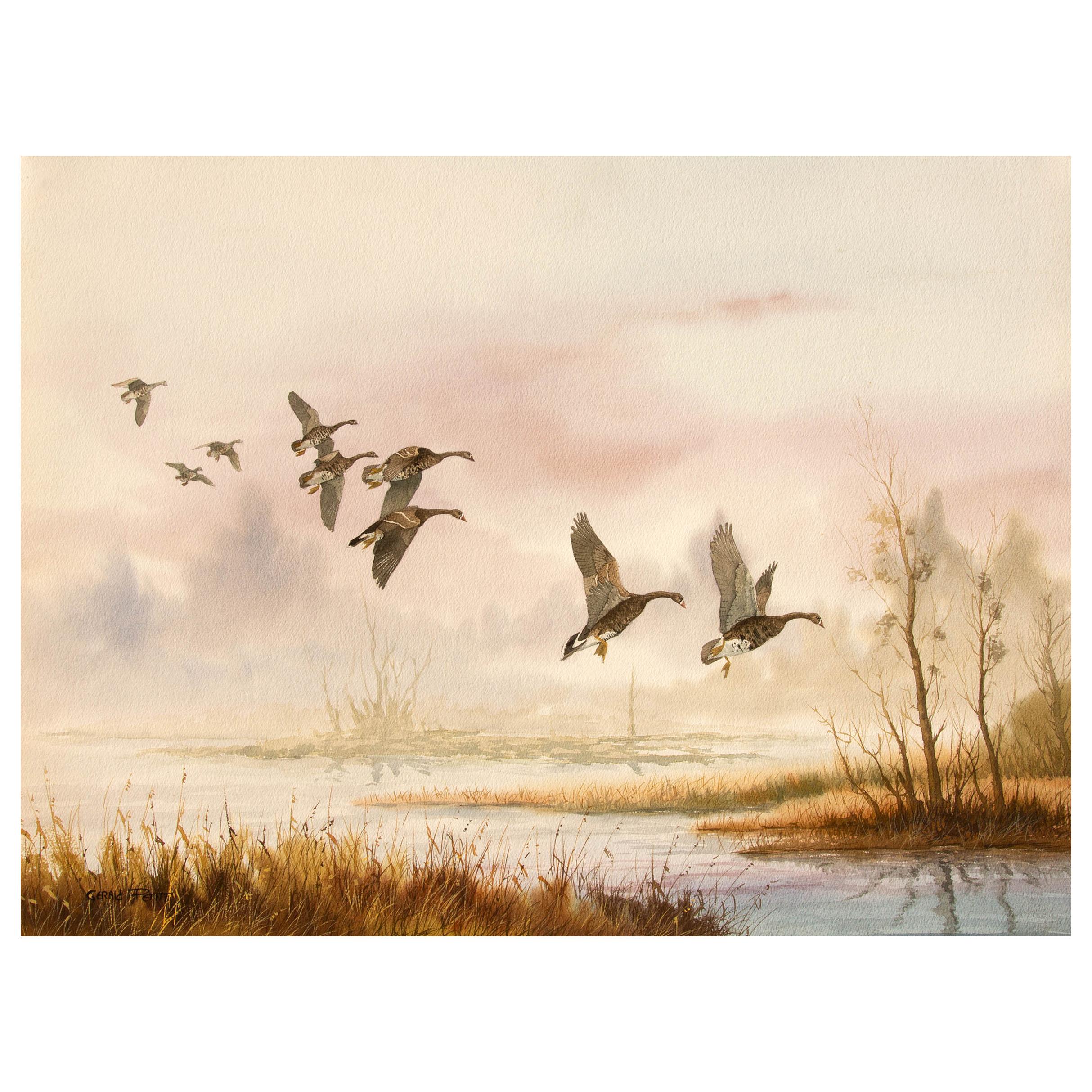 Wild Geese Painting by Sporting Artist Gerald Pettit
