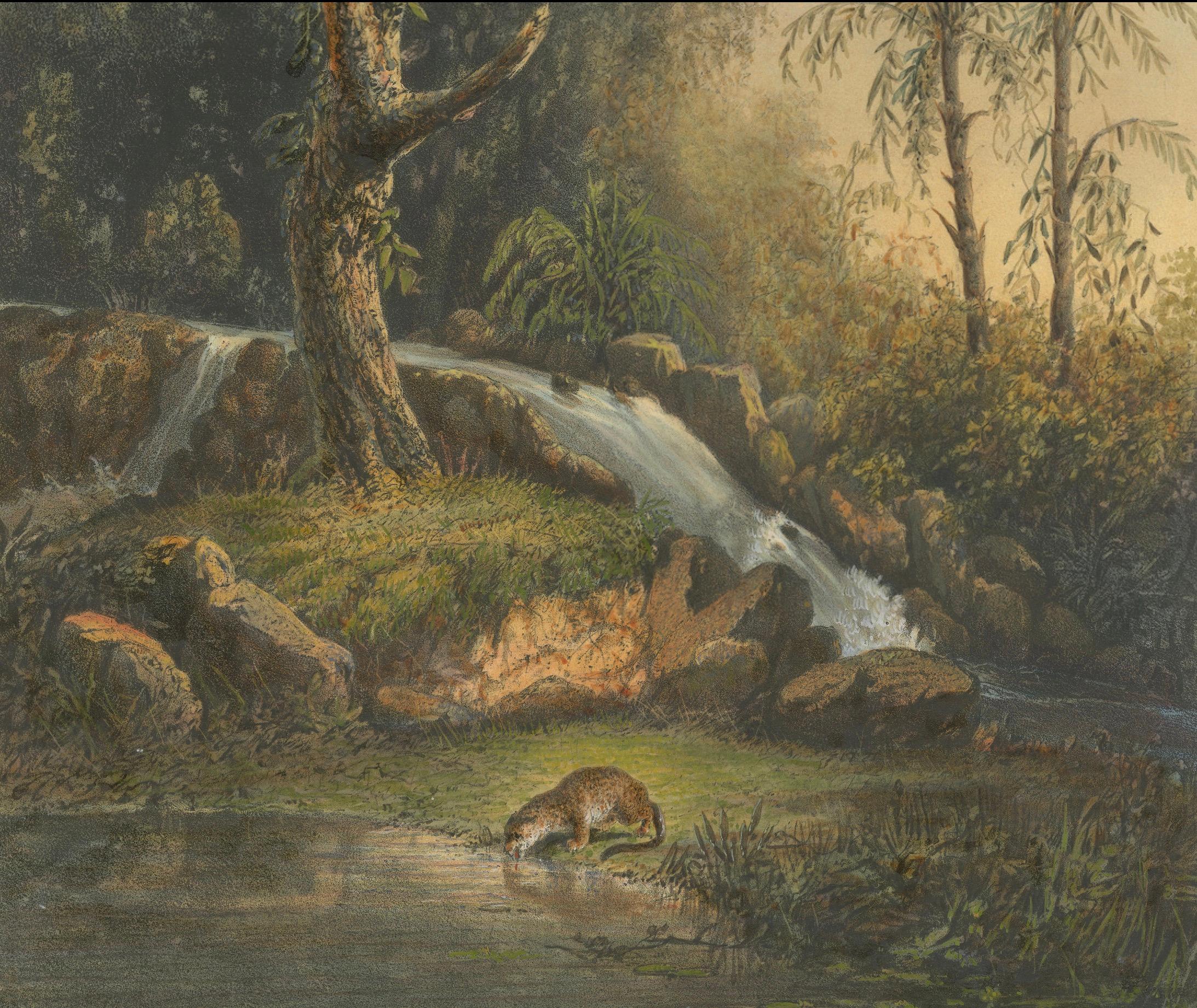 Wild Landscape with Waterfall and Jungle Life – Java Lithograph, Published 1872 In Good Condition For Sale In Langweer, NL