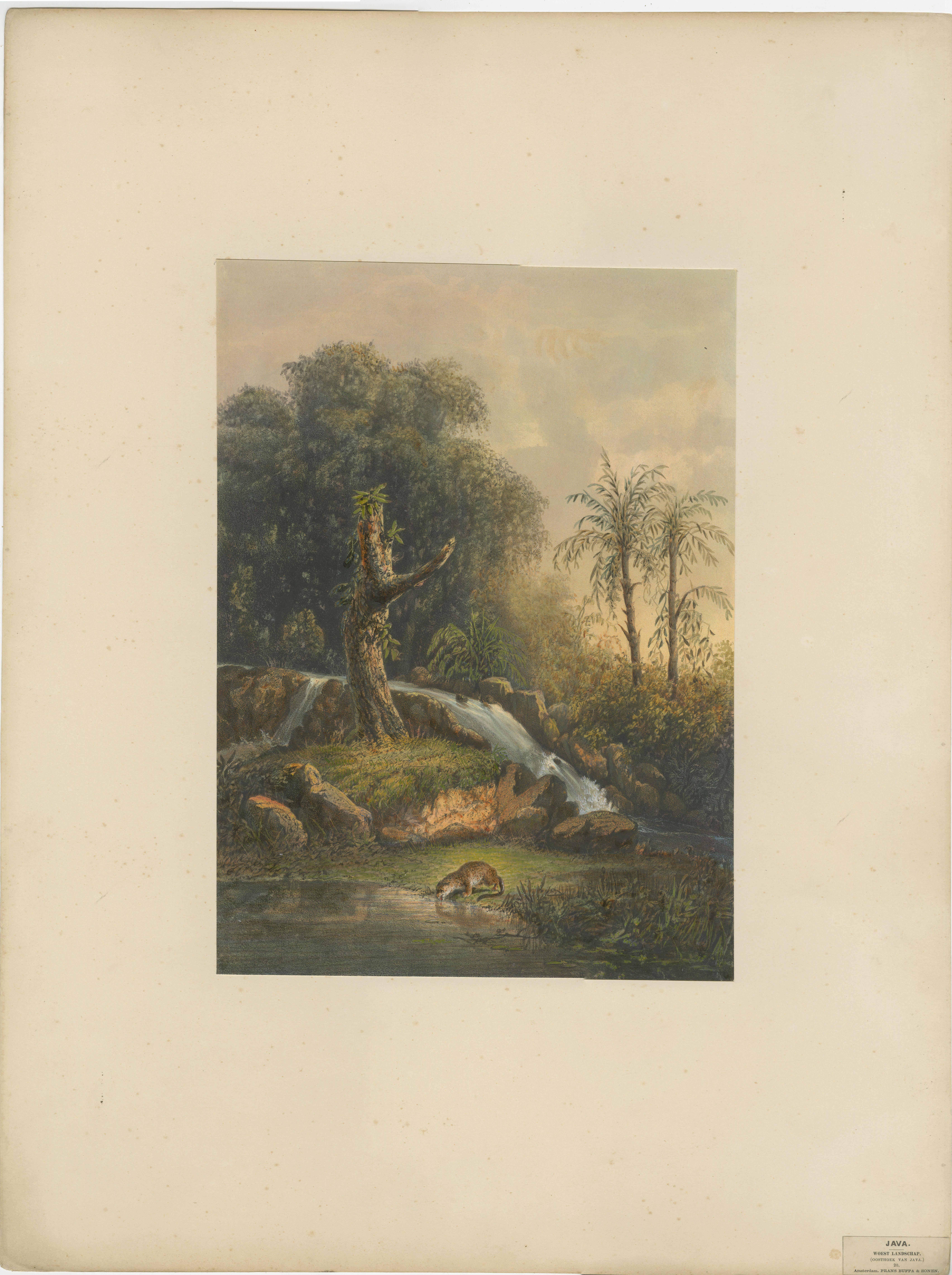 Late 19th Century Wild Landscape with Waterfall and Jungle Life – Java Lithograph, Published 1872 For Sale