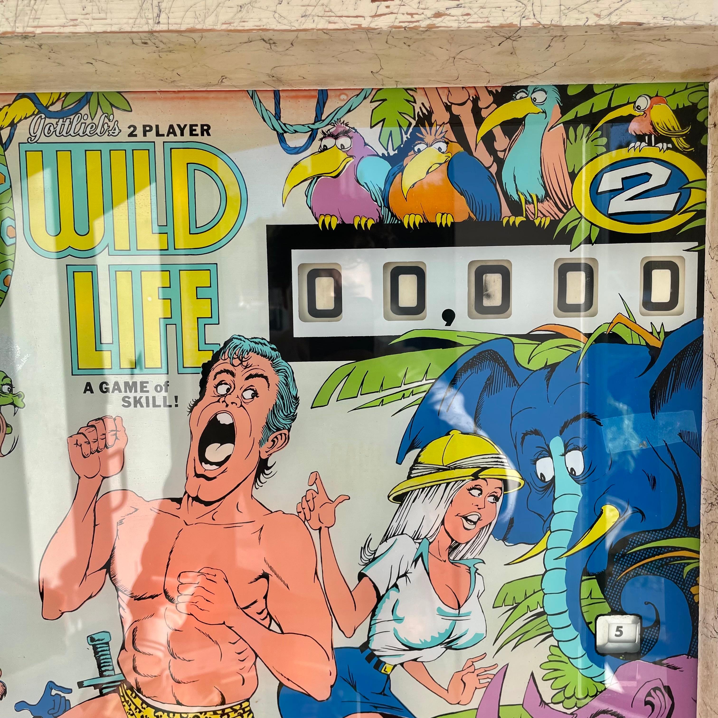 Wild Life Pinball Arcade Game, 1972 USA For Sale 3