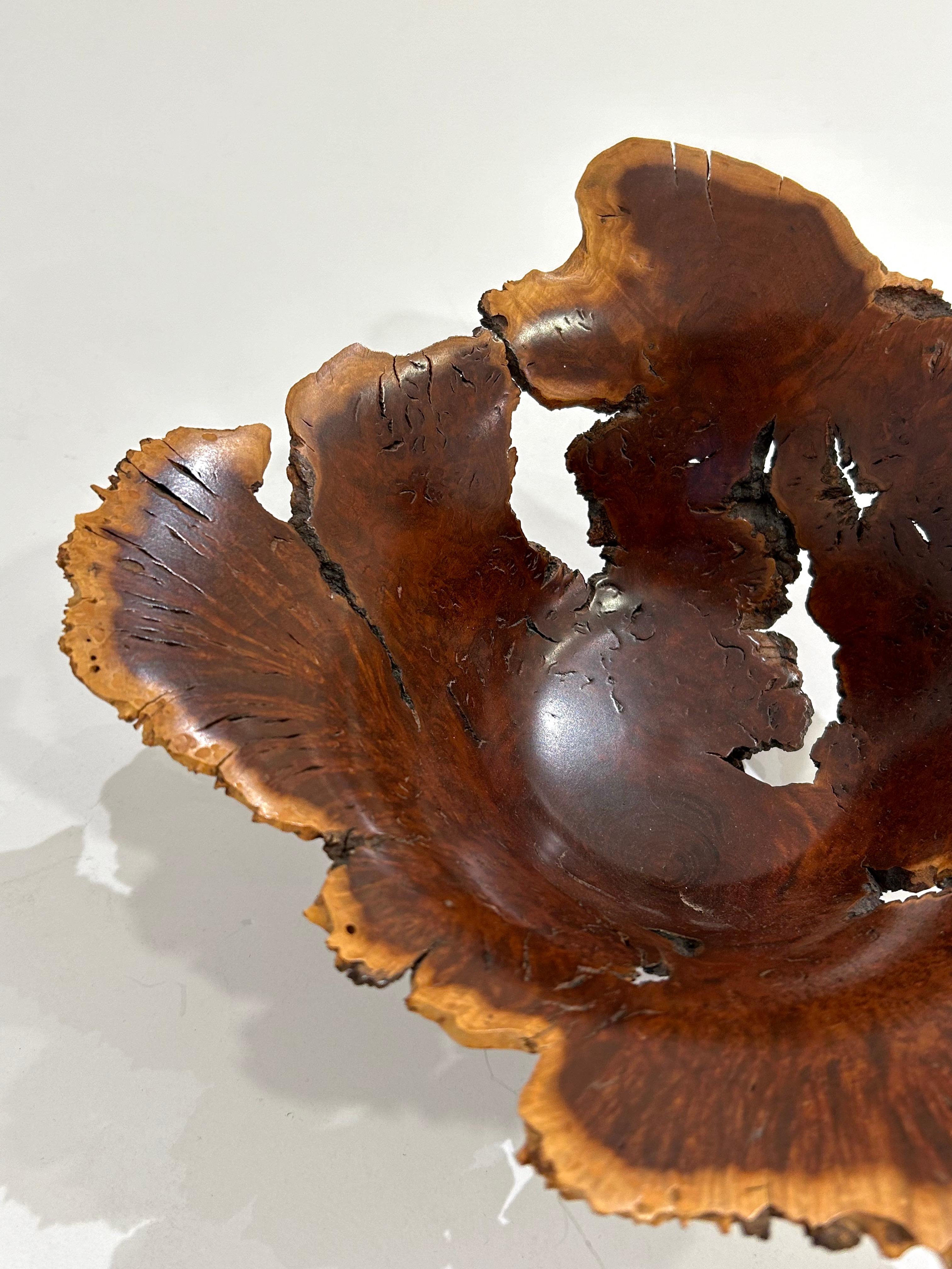 Wild Lilac Live Edge Bowl by Hap Sakwa For Sale 4