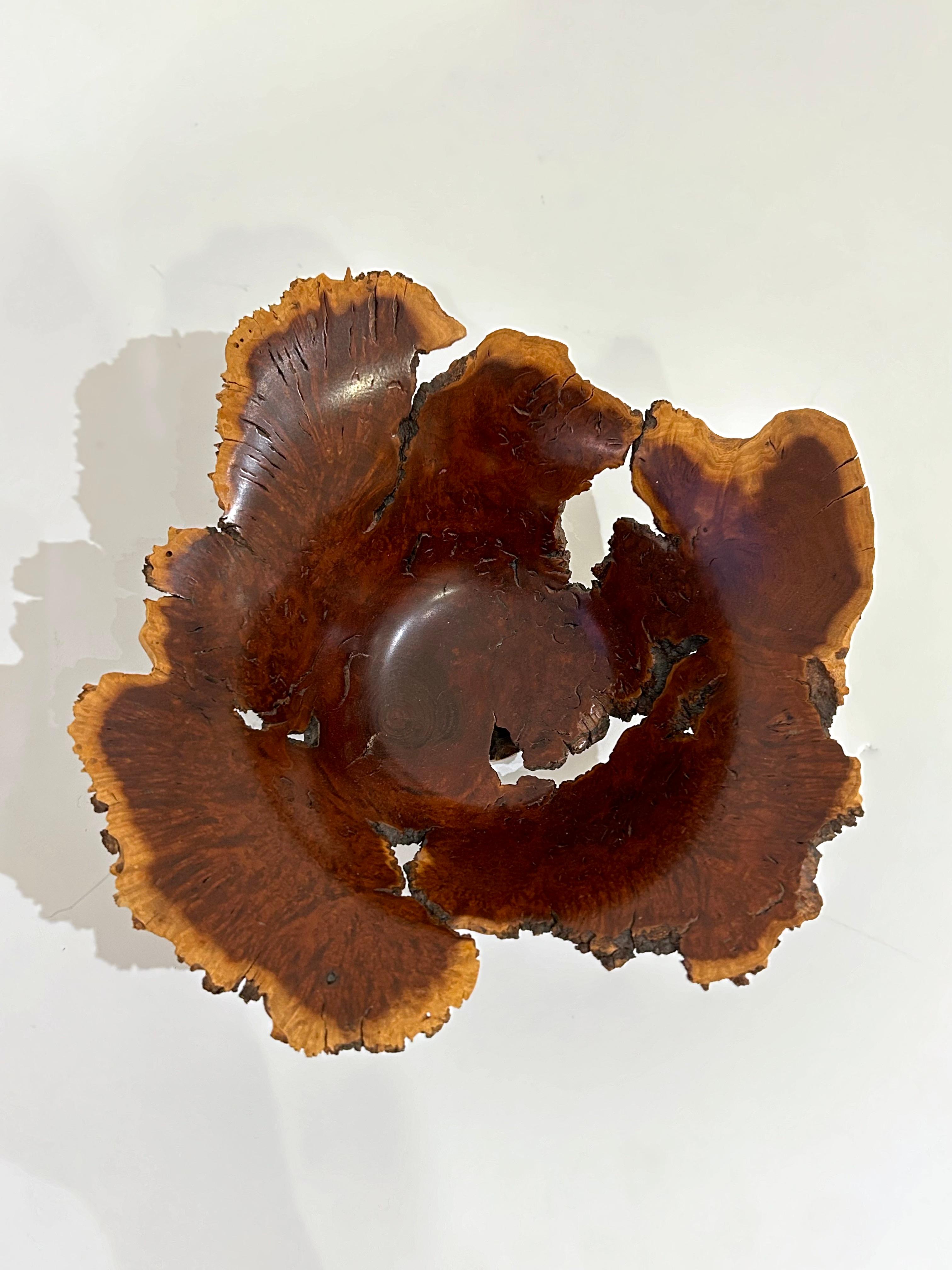 Wild Lilac Live Edge Bowl by Hap Sakwa For Sale 5