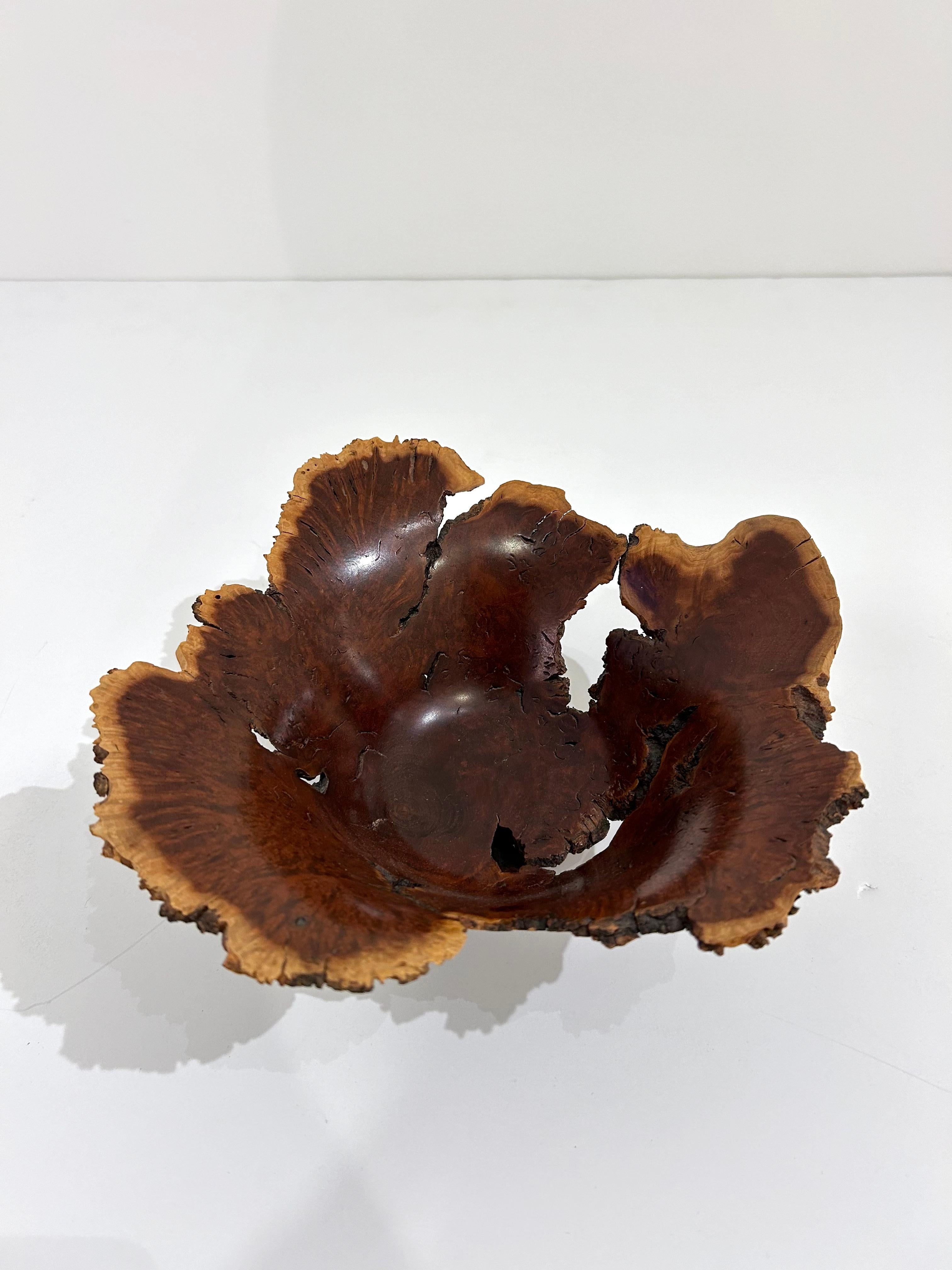 American Wild Lilac Live Edge Bowl by Hap Sakwa For Sale