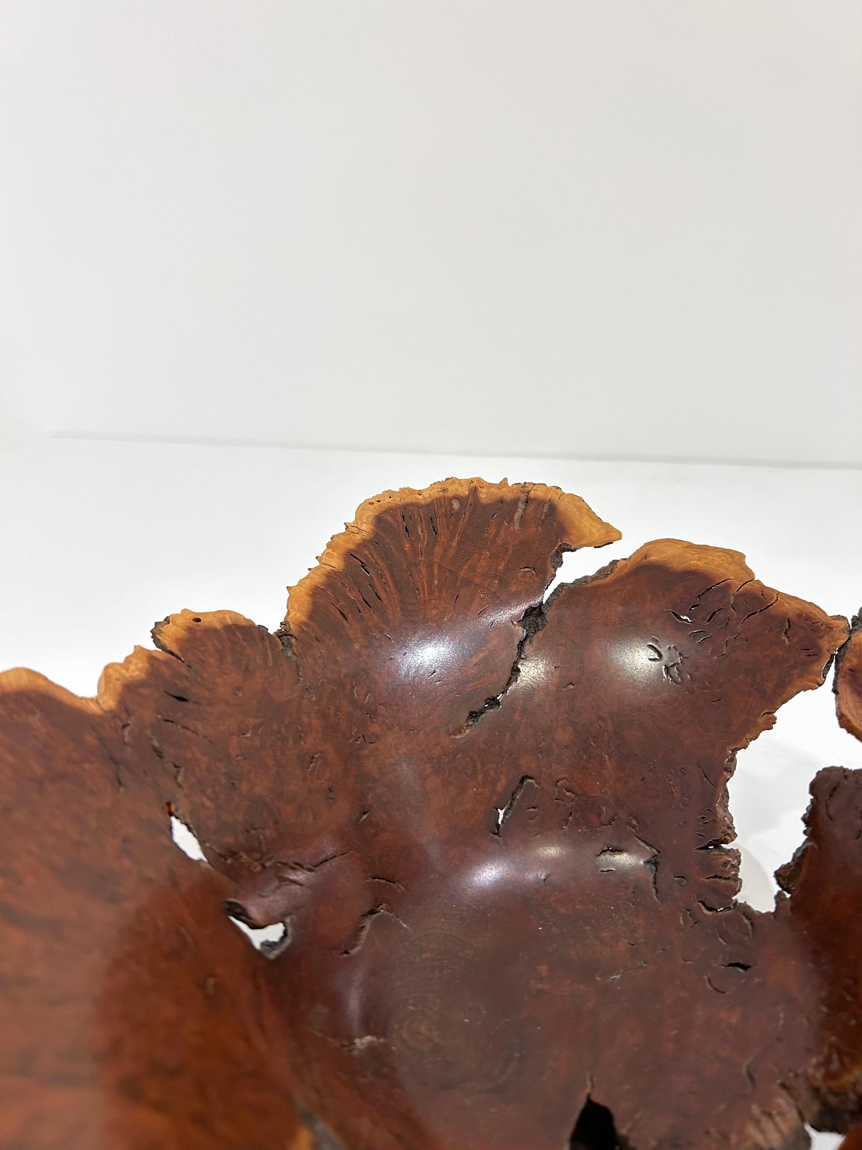 Late 20th Century Wild Lilac Live Edge Bowl by Hap Sakwa For Sale