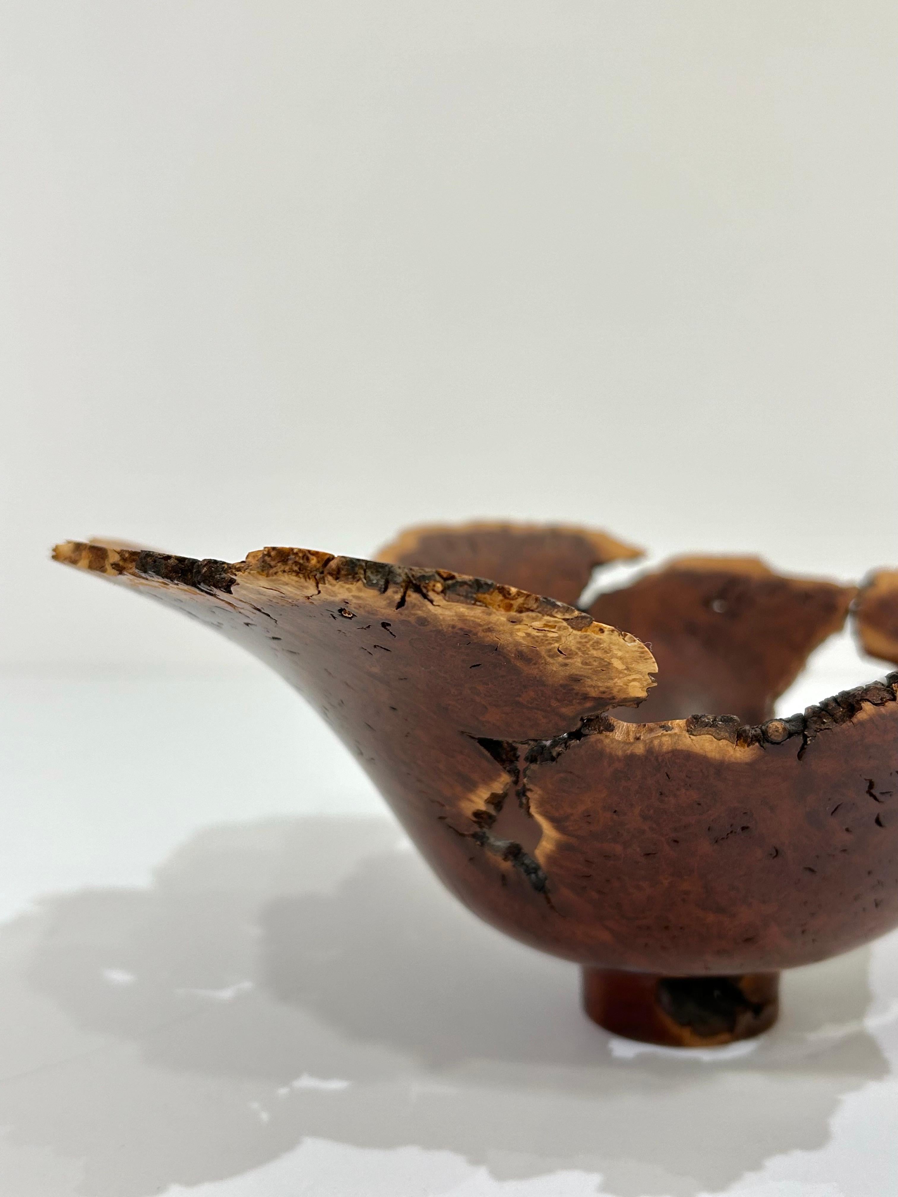 Wood Wild Lilac Live Edge Bowl by Hap Sakwa For Sale
