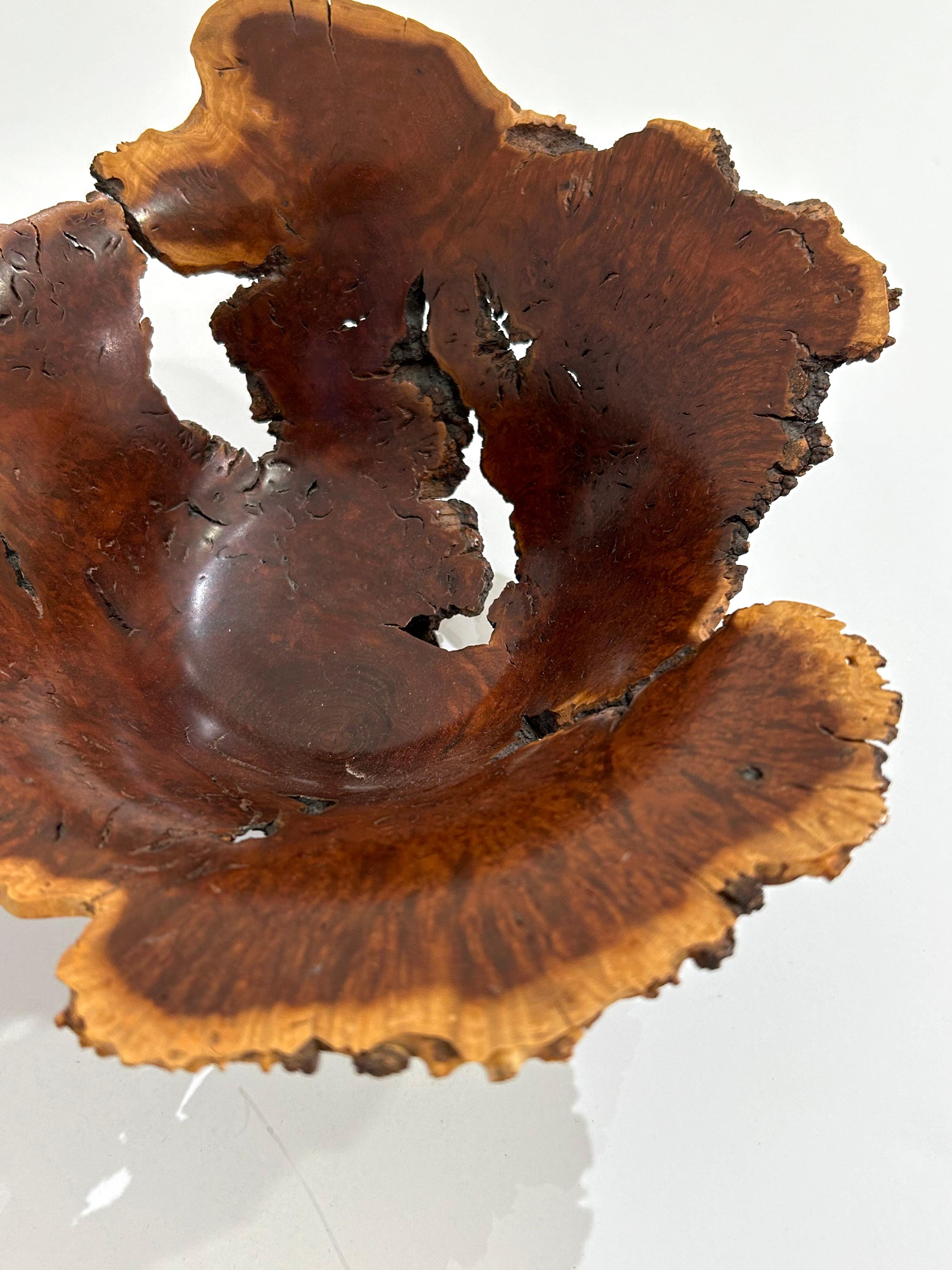 Wild Lilac Live Edge Bowl by Hap Sakwa For Sale 3