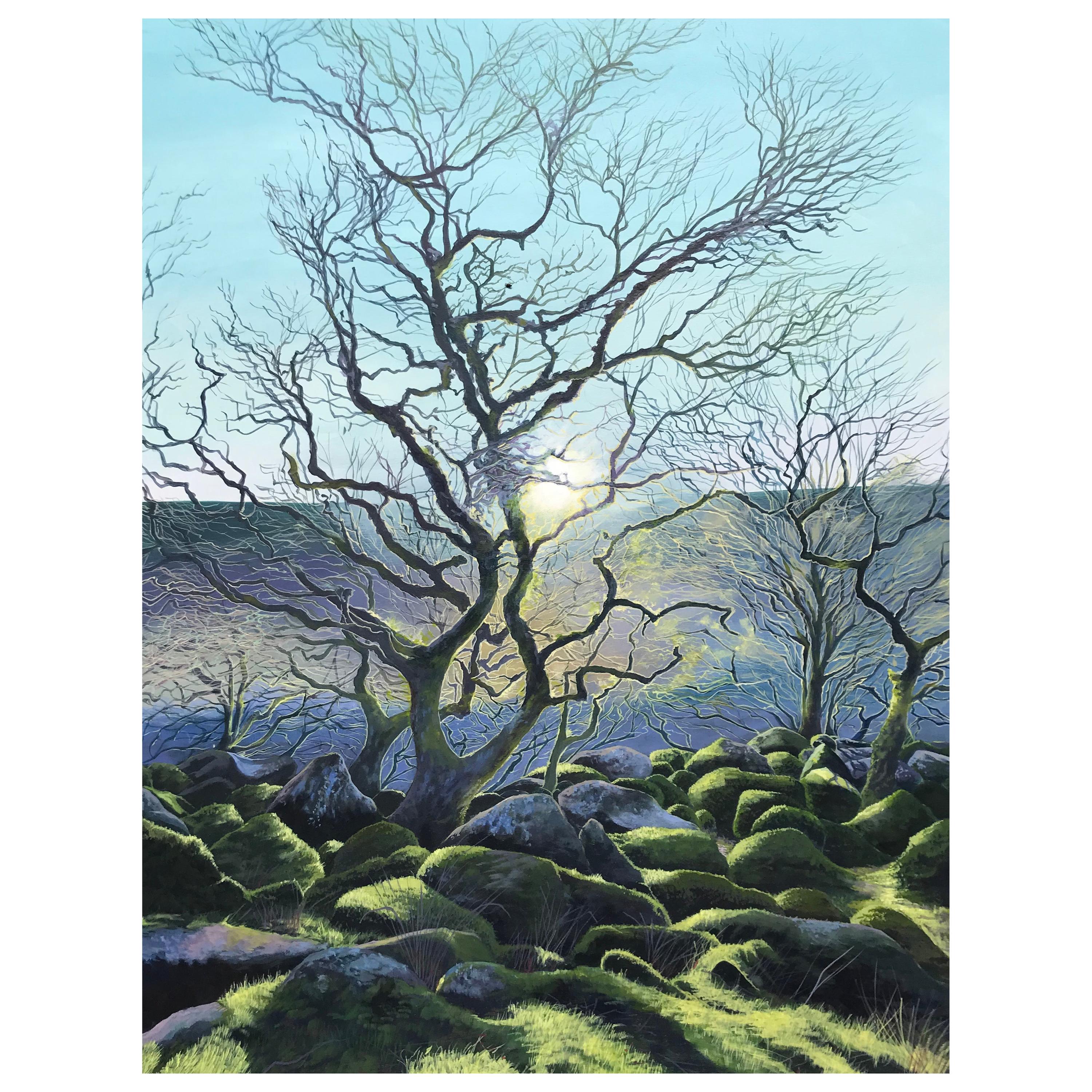 Wild Wistman's Wood Contemporary Landscape Painting For Sale