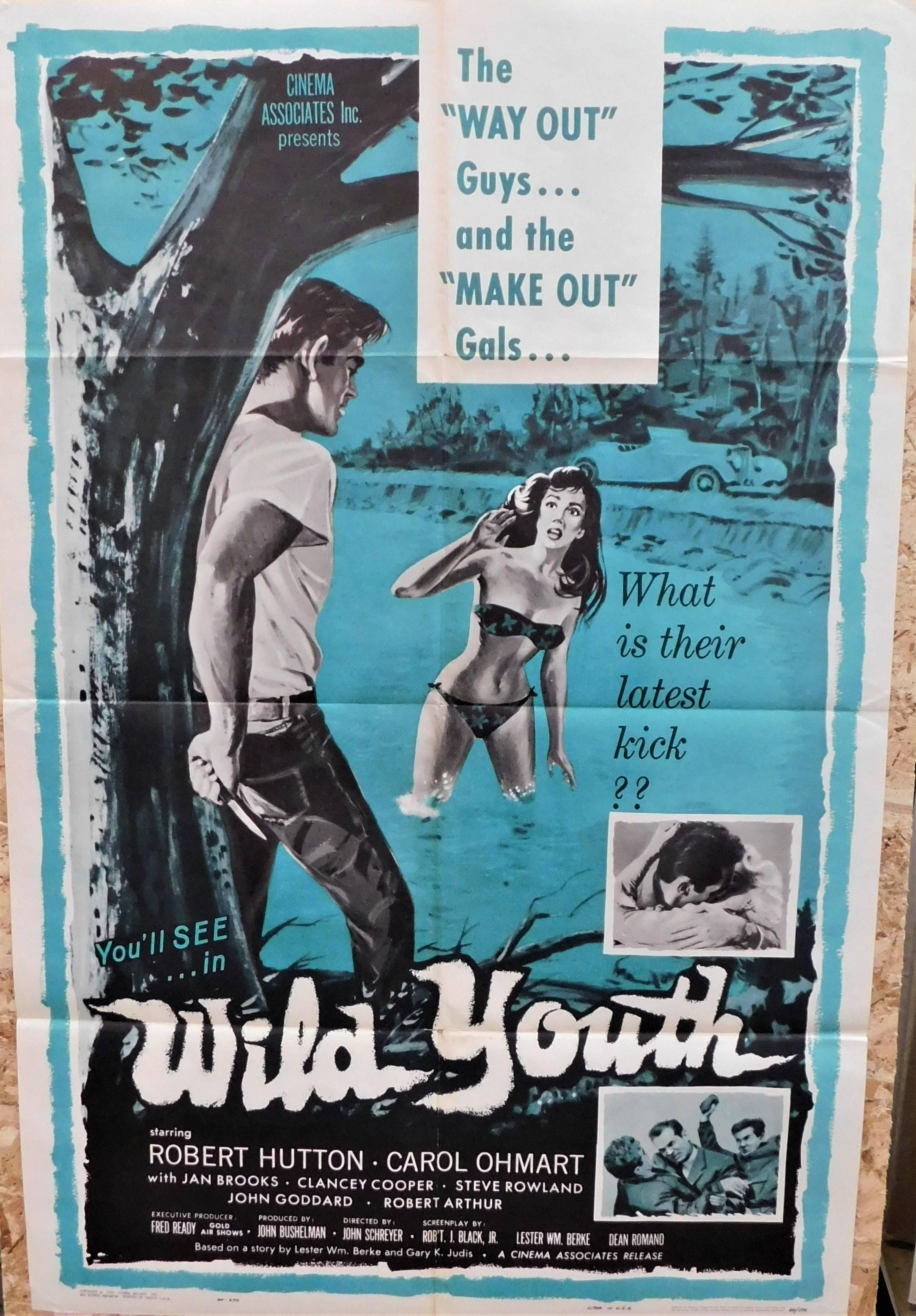 wild youth 1960