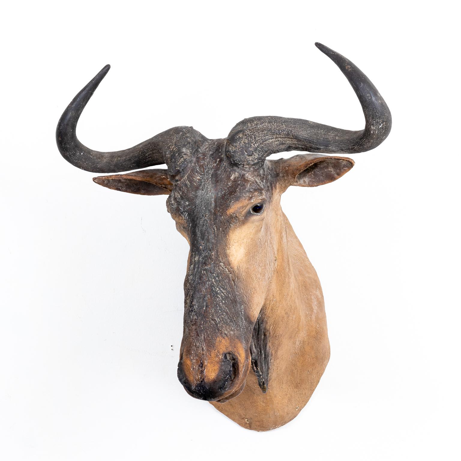 Circa 1980s wildebeest head composed of cast resin with glass eyes. Please note of wear consistent with age. Made in the United States.