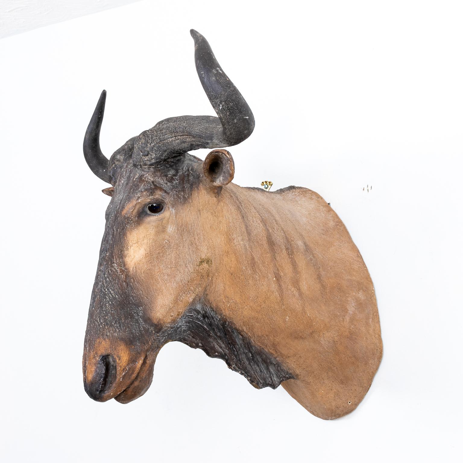 20th Century Wildebeest Head Cast Resin with Glass Eyes For Sale