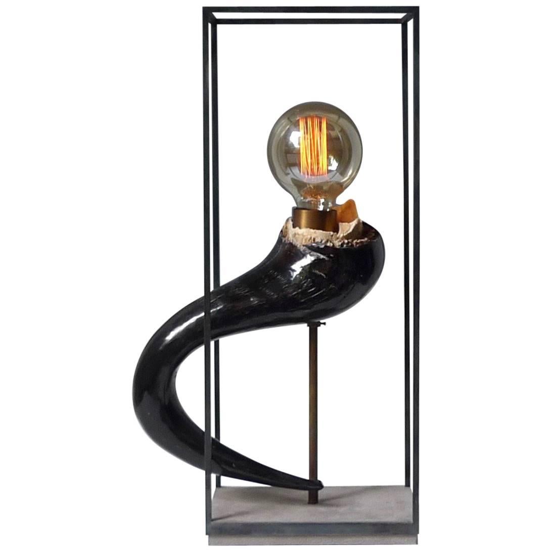 No. 04 Wildebeest Horn Frame Contemporary Art Table Lamp, Sander Bottinga