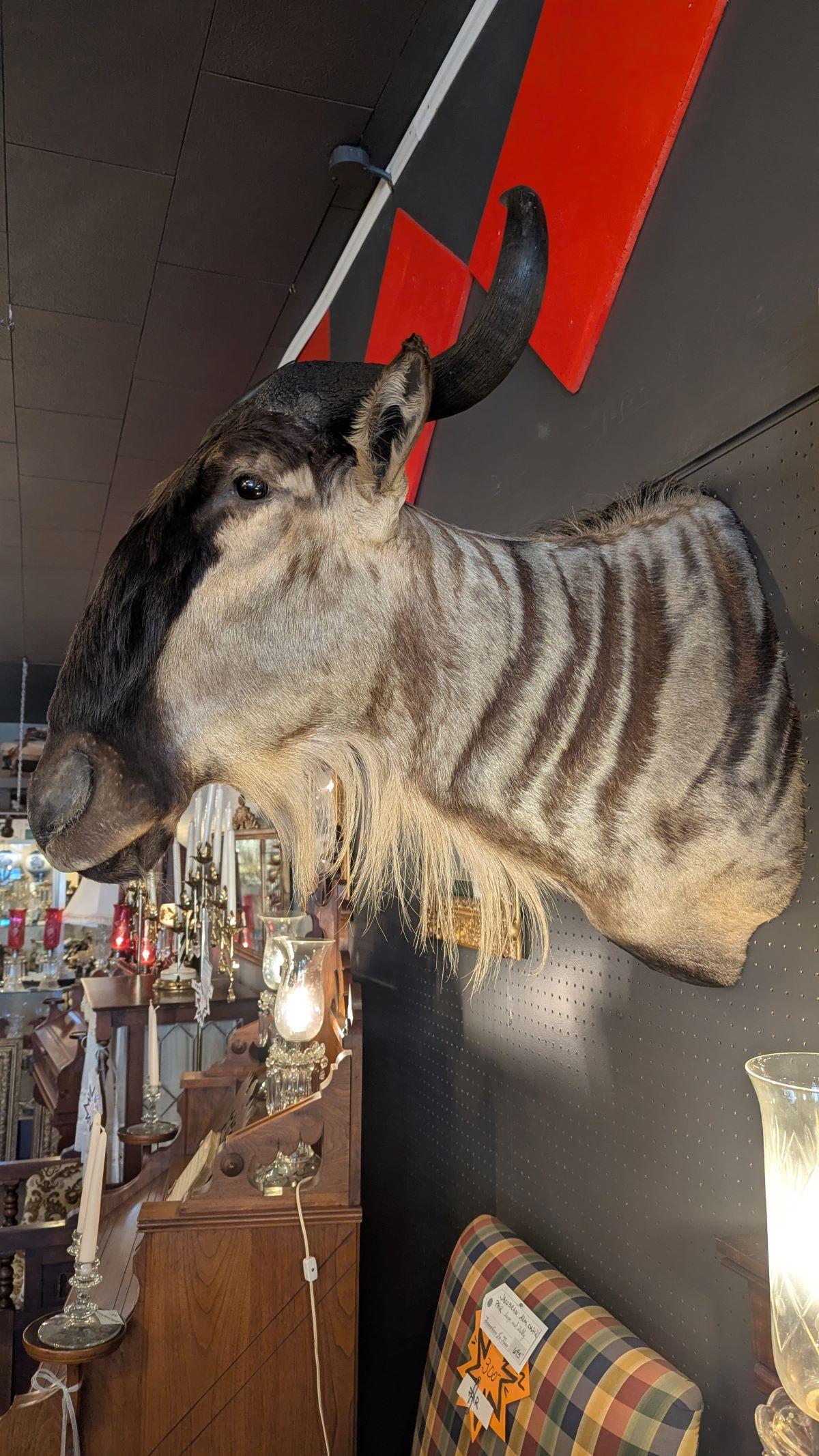 Support mural Wildebeest Bon état - En vente à Pueblo, CO