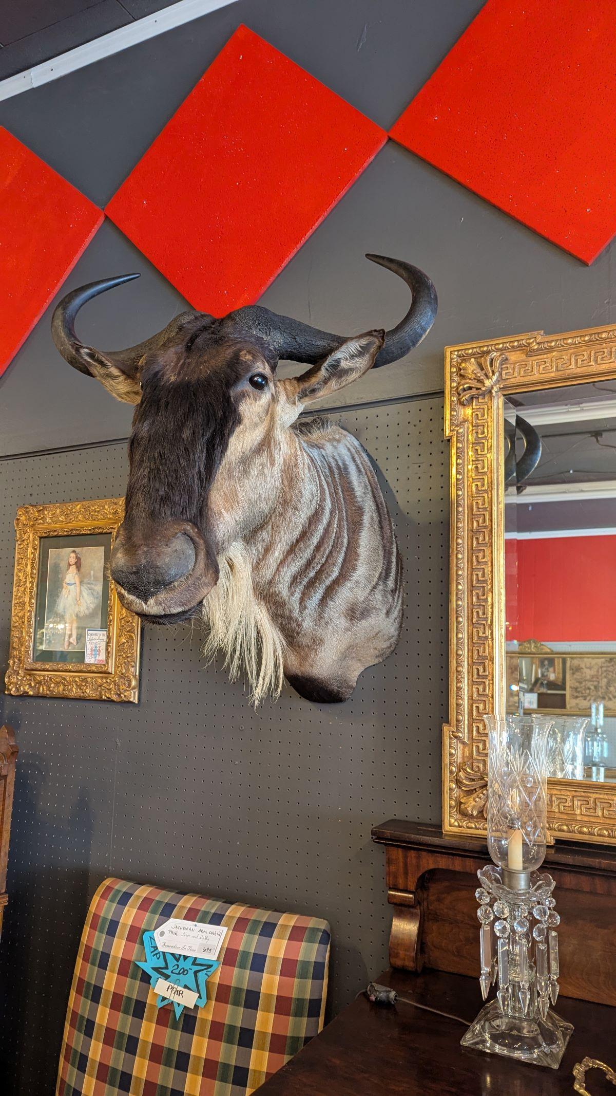Support mural Wildebeest en vente 2