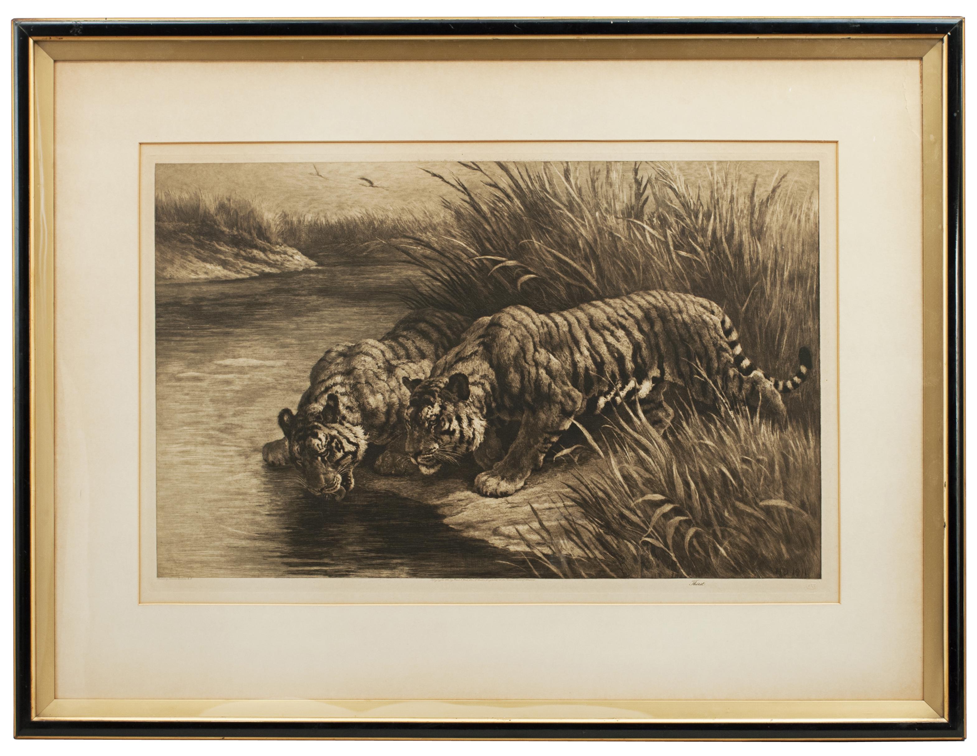 A wonderful wildlife etching by Herbert Dicksee, 'Thirst'
A framed wildlife picture of a pair of tigers crouching, drinking from a meandering river. The powerful etching is by Herbert Thomas Dickse, after his original artwork, published October