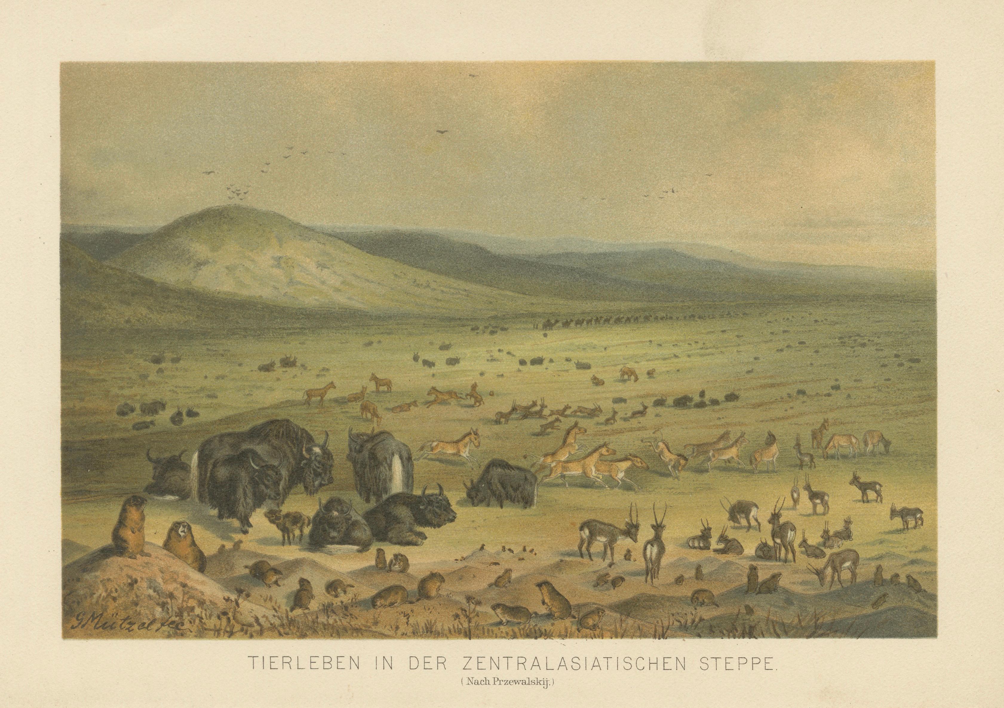 Wildlife of the Central Asian Steppe – Antique Natural History Lithograph, 1883