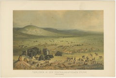 Animali selvatici della steppa dell'Asia centrale - Litografia antica di Nature, 1883
