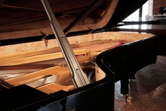 Wilh Steinberg WS-D275 Concert Grand Piano Bespoke For York Minster