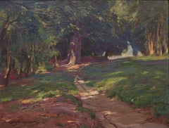 Forest landscape bathed in sunlight / - The Monumentality of the Forest -