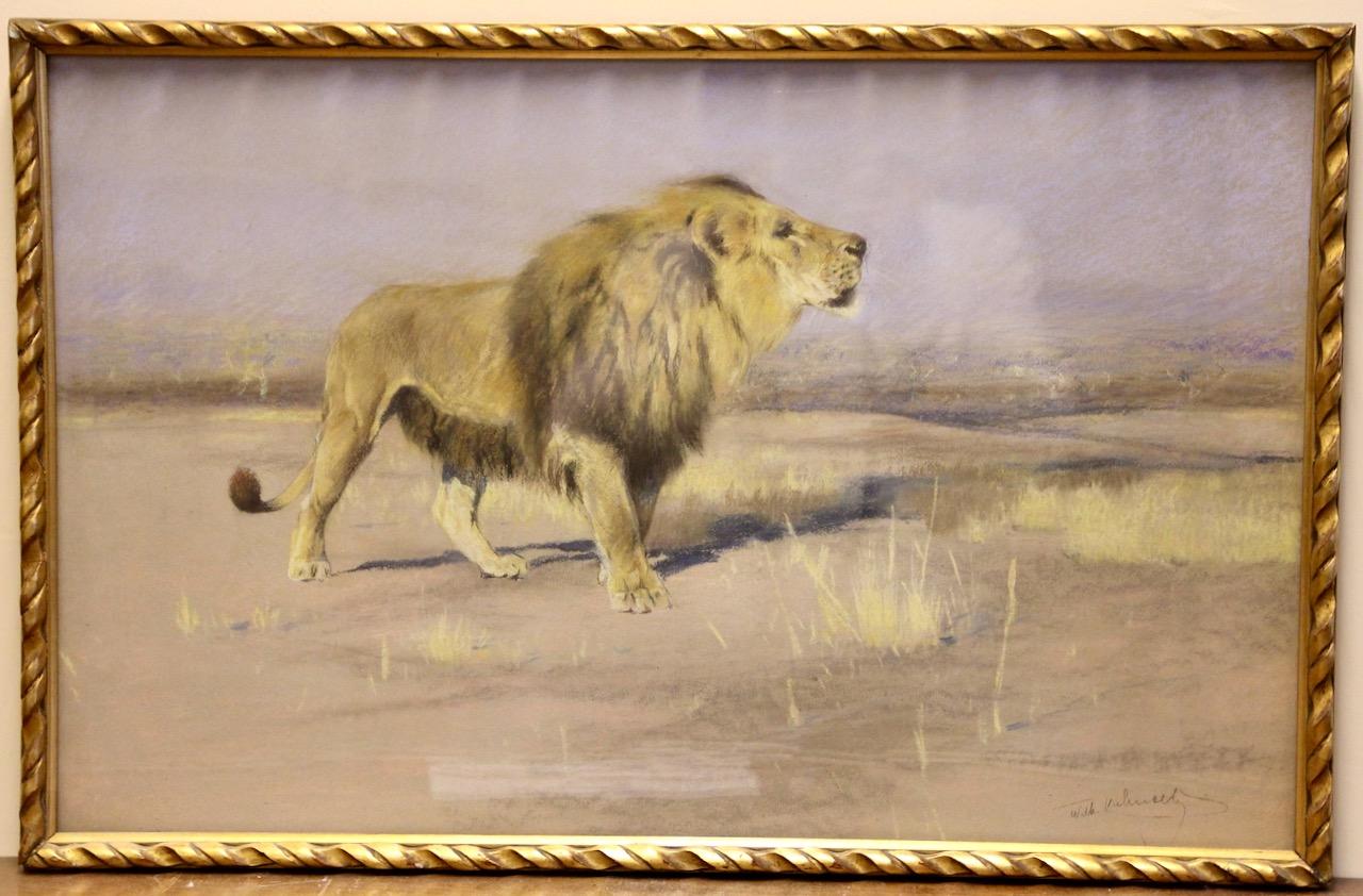 Friedrich Wilhelm Karl Kuhnert, 1900, Majestically Striding Lion Africa Savannah - Painting by Wilhelm Friedrich Kuhnert