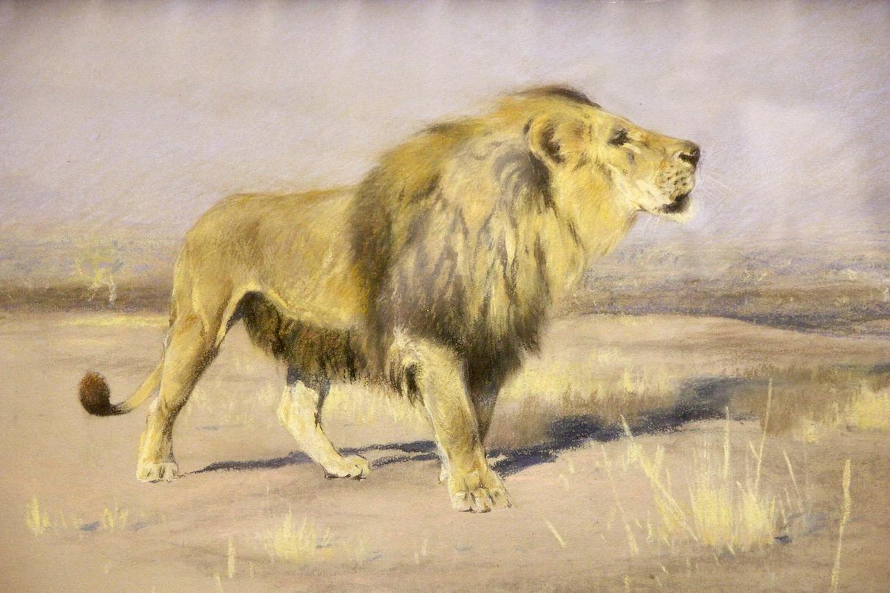 Friedrich Wilhelm Karl Kuhnert, 1900, Majestätsvoll strickender Löwe Afrika Savannah im Angebot 1