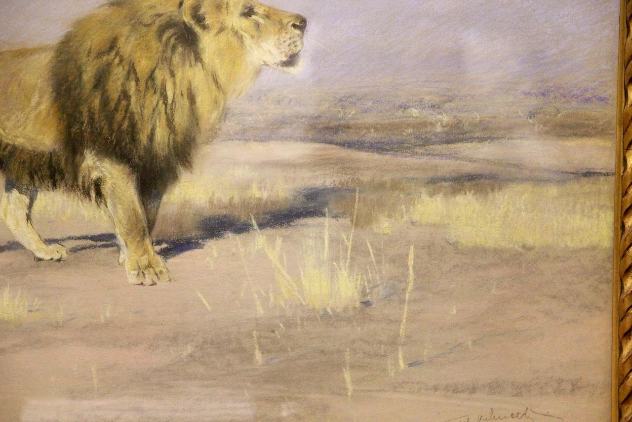 Friedrich Wilhelm Karl Kuhnert, 1900, Majestically Striding Lion Africa Savannah - Beige Landscape Painting by Wilhelm Friedrich Kuhnert