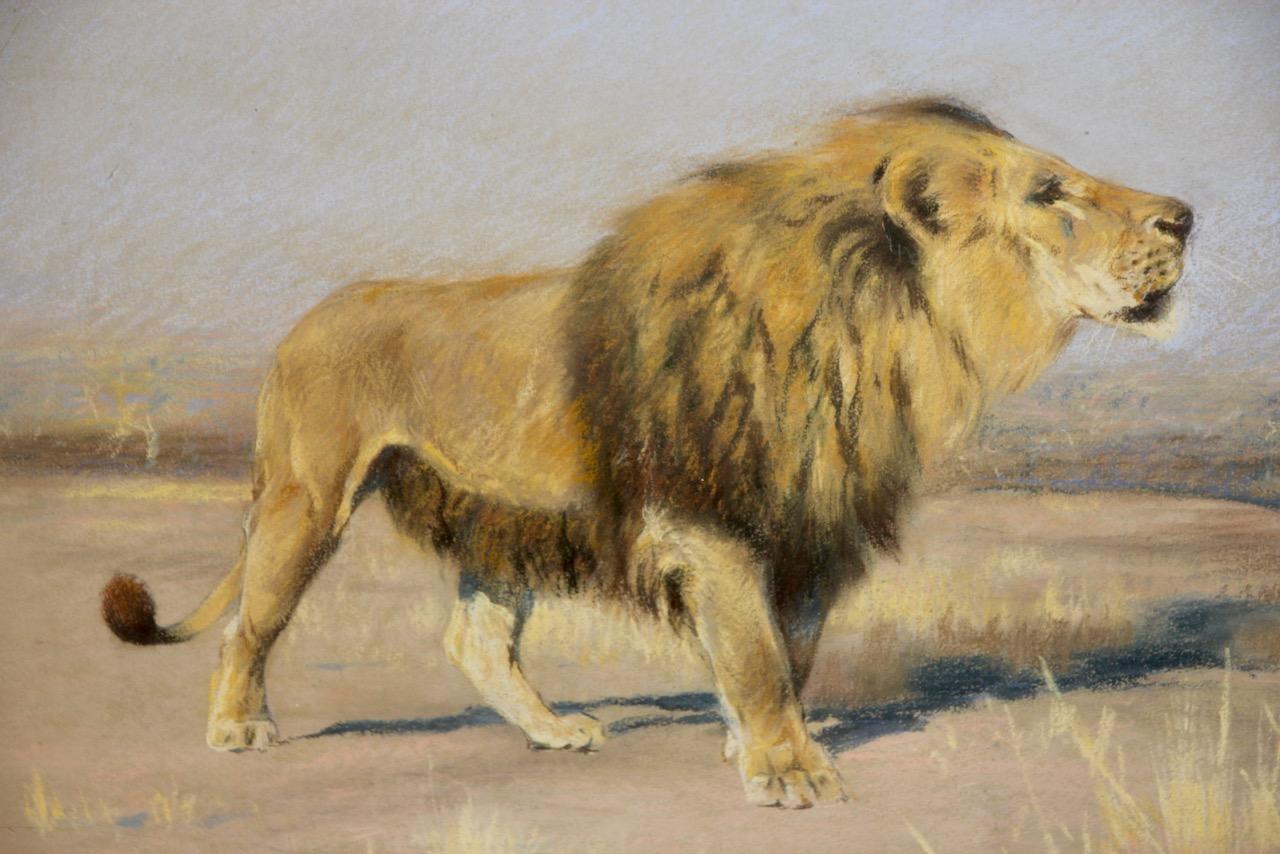 Friedrich Wilhelm Karl Kuhnert, around 1900, Majestically striding lion

Decorative painting by the well-known artist Wilhelm Kuhnert. Representation of a striding lion in the African savannah, one of his most popular and rare motifs.
From a private