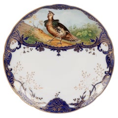 Wilhelm Graef New York Hand Painted Porcelain Cabinet Plate
