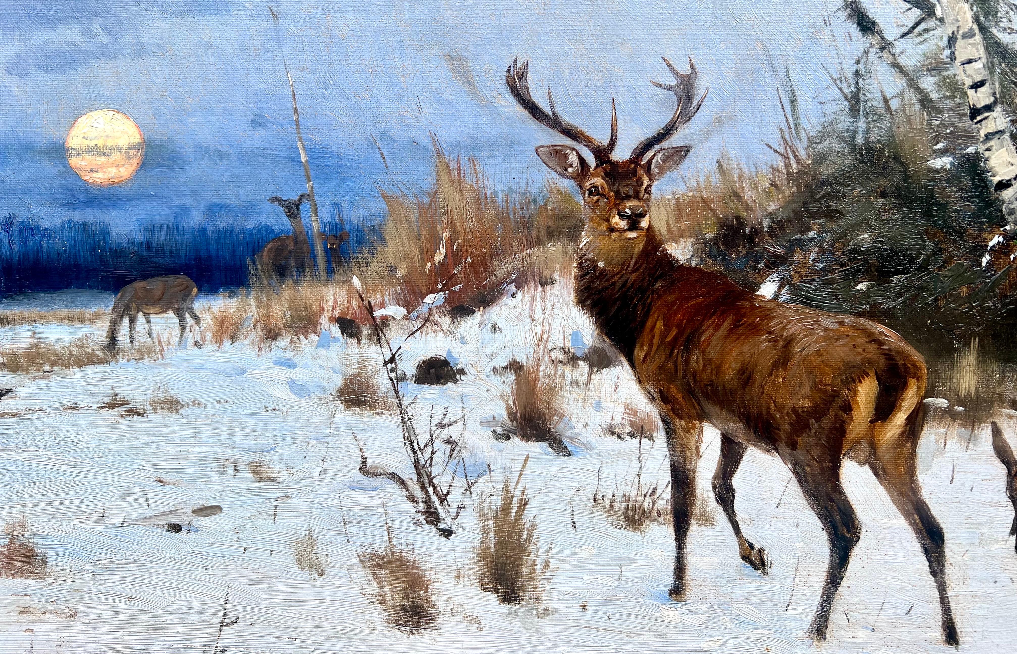 Gemälde der Hirschfamilie in einer Waldlandschaft aus dem 19. Jahrhundert – Romantische Hirschgeweihe (Romantik), Painting, von Wilhelm Kuhnert