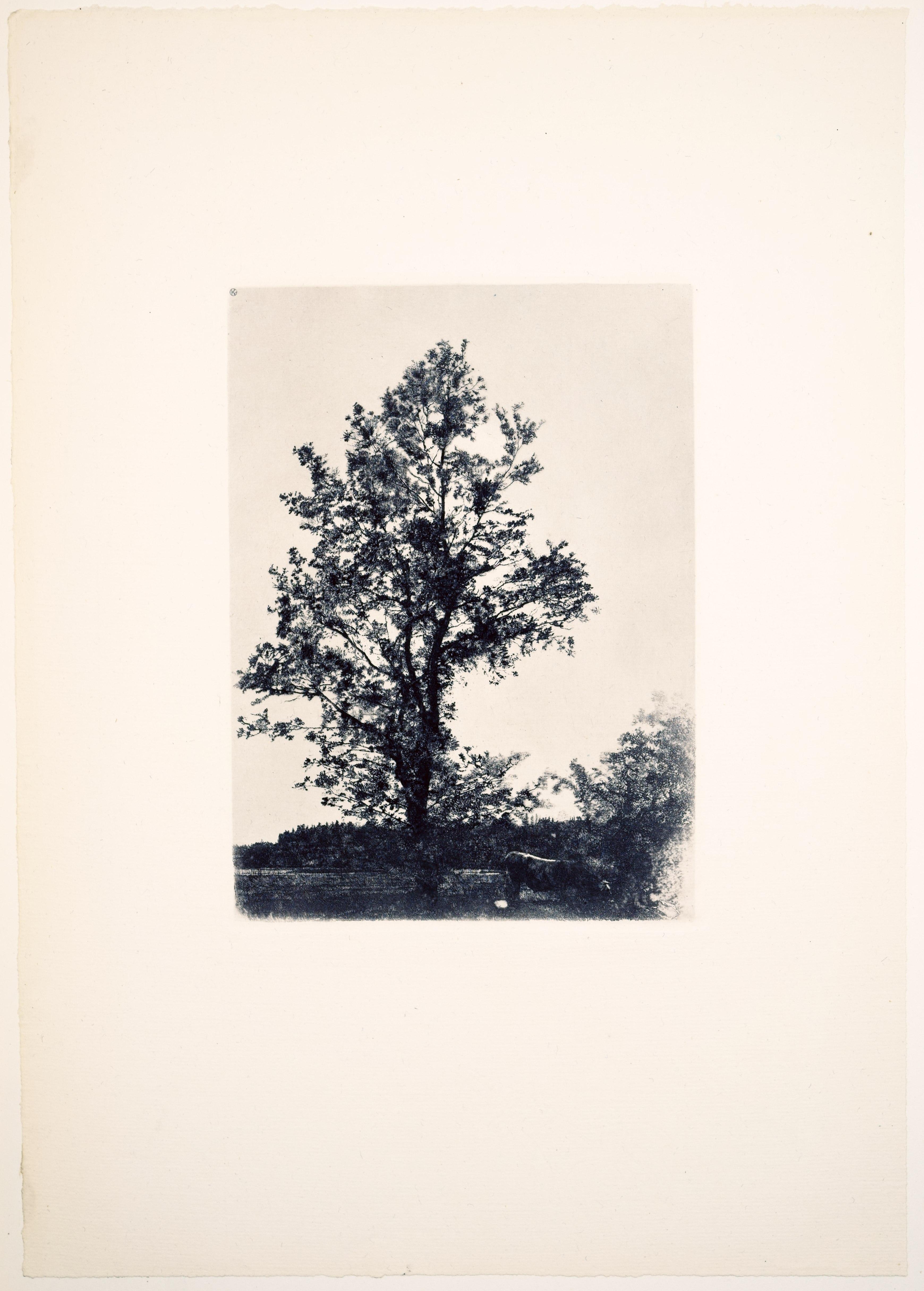 Wilhelm Leibl (1844-1900), Acqueforti originali, Kunstverlag Gurlitt, 1900 in vendita 16