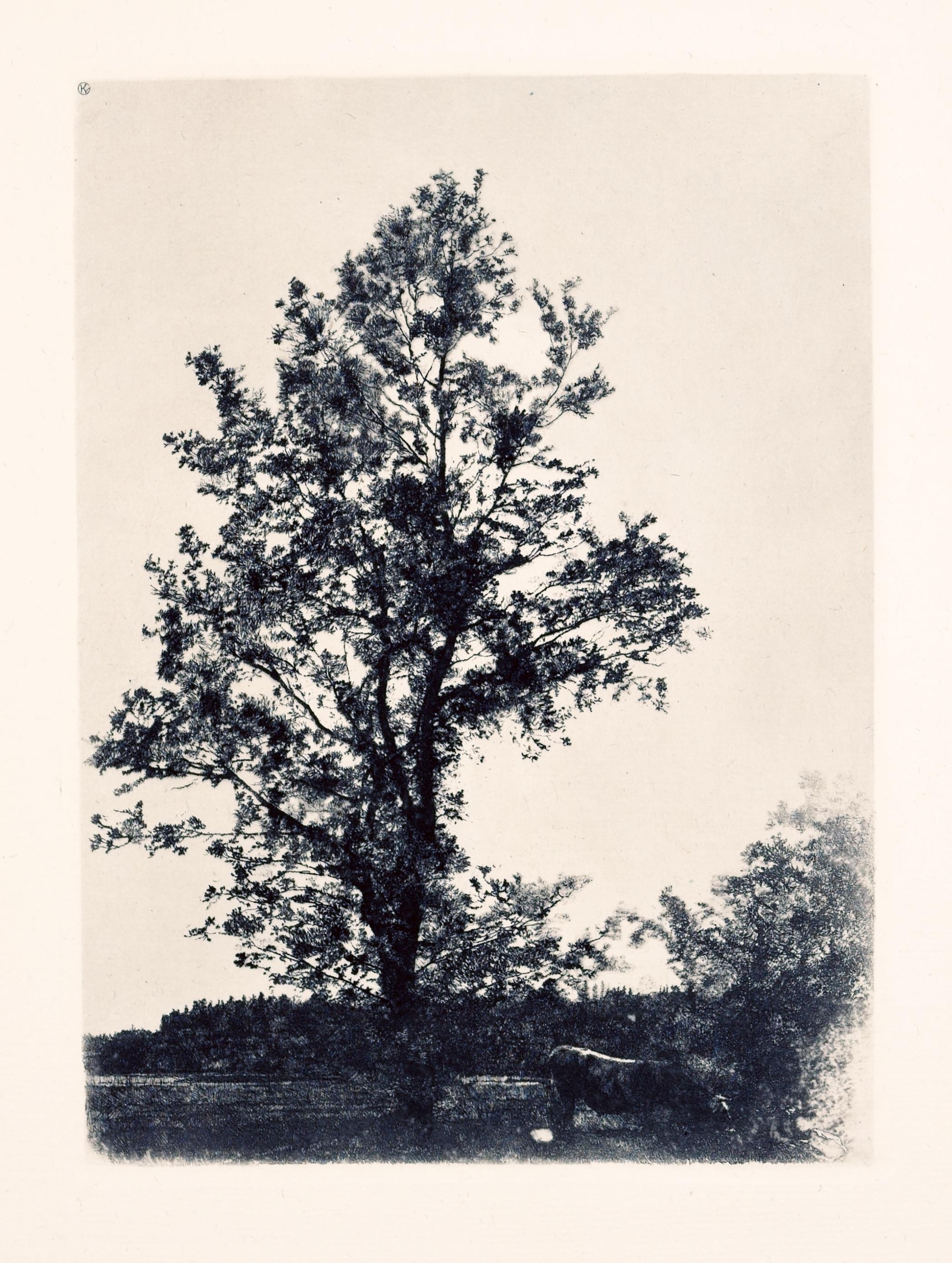 Wilhelm Leibl (1844-1900), Acqueforti originali, Kunstverlag Gurlitt, 1900 in vendita 17