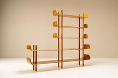 Wilhelm Lutjens Model 545 Wall Unit for C. Den Boer, Netherlands 1950s