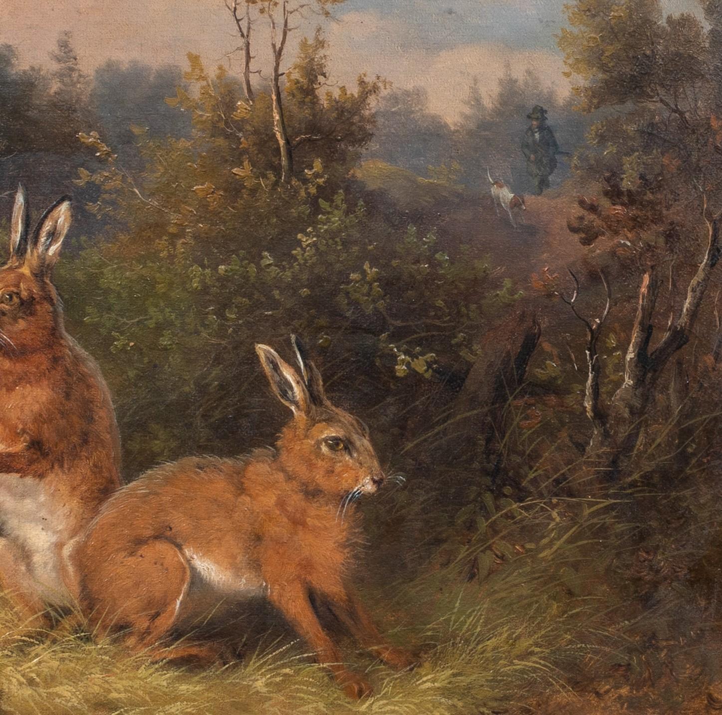 Study Of Wild Hares, 19th Century

by William Melchior (1817-1860)

19th century English study of a pair of wild hares hiding with a huntsman in the distance, oil on canvas by William Melchoir. Excellent quality and condition wildlife / sporting