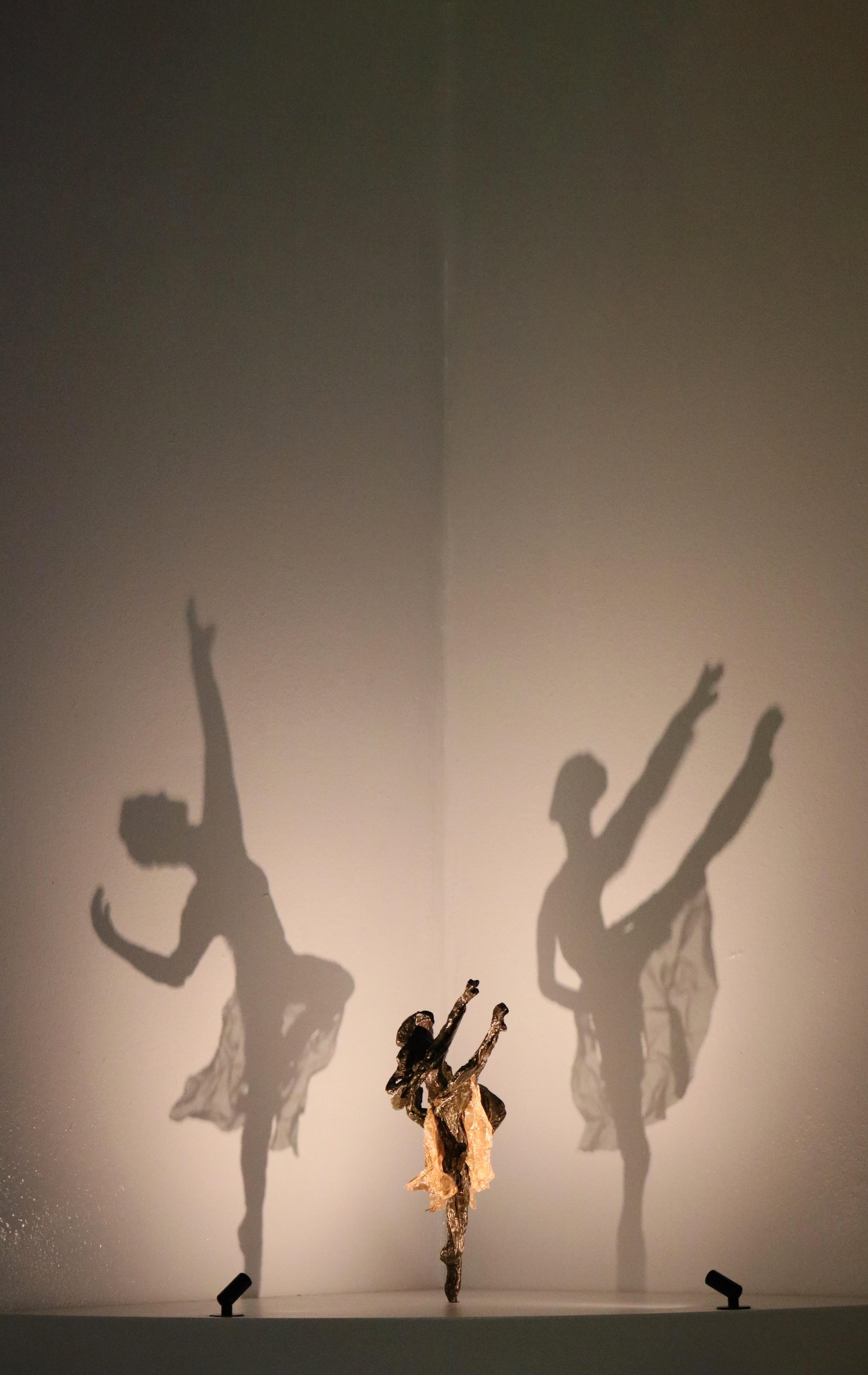 Edición limitada de 11, Bronce y Malla de Bronce

Esta escultura abstracta de Will Budgett crea la impresionante sombra de una bailarina en la pared cuando se ilumina. Se completa con una instalación de luz y base y un mando a distancia Off\On, como