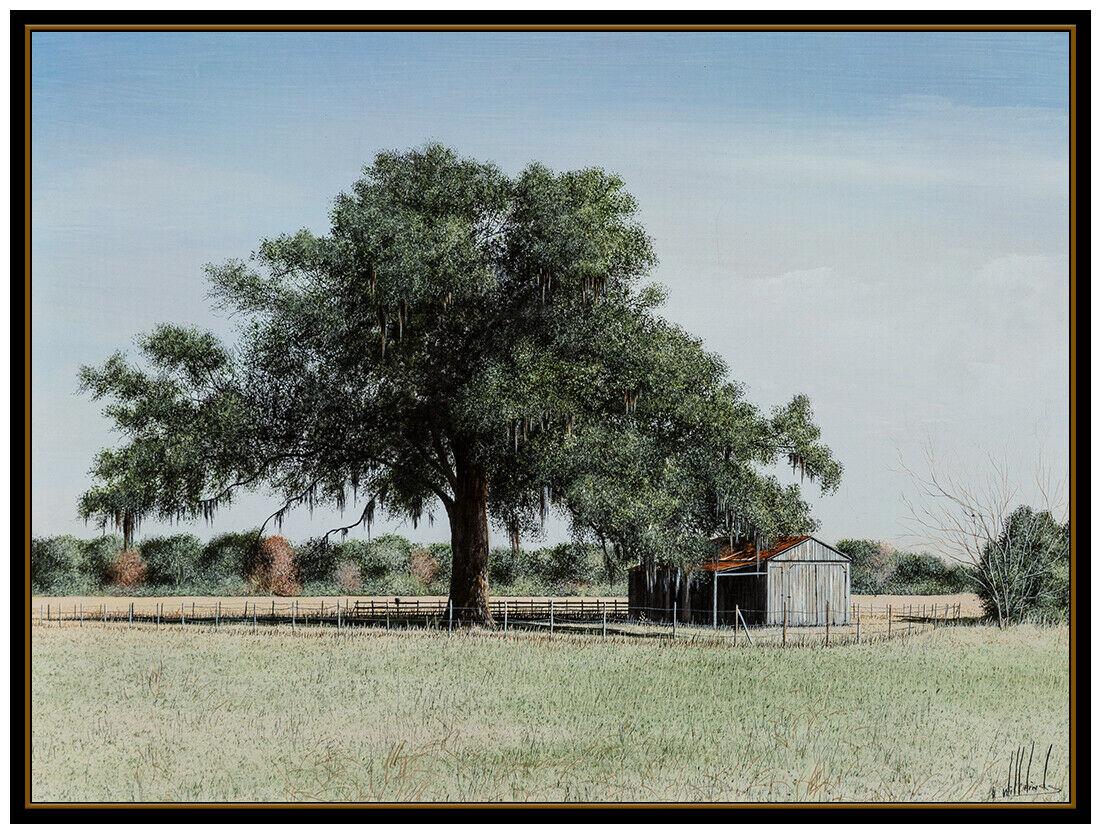 hinds oil