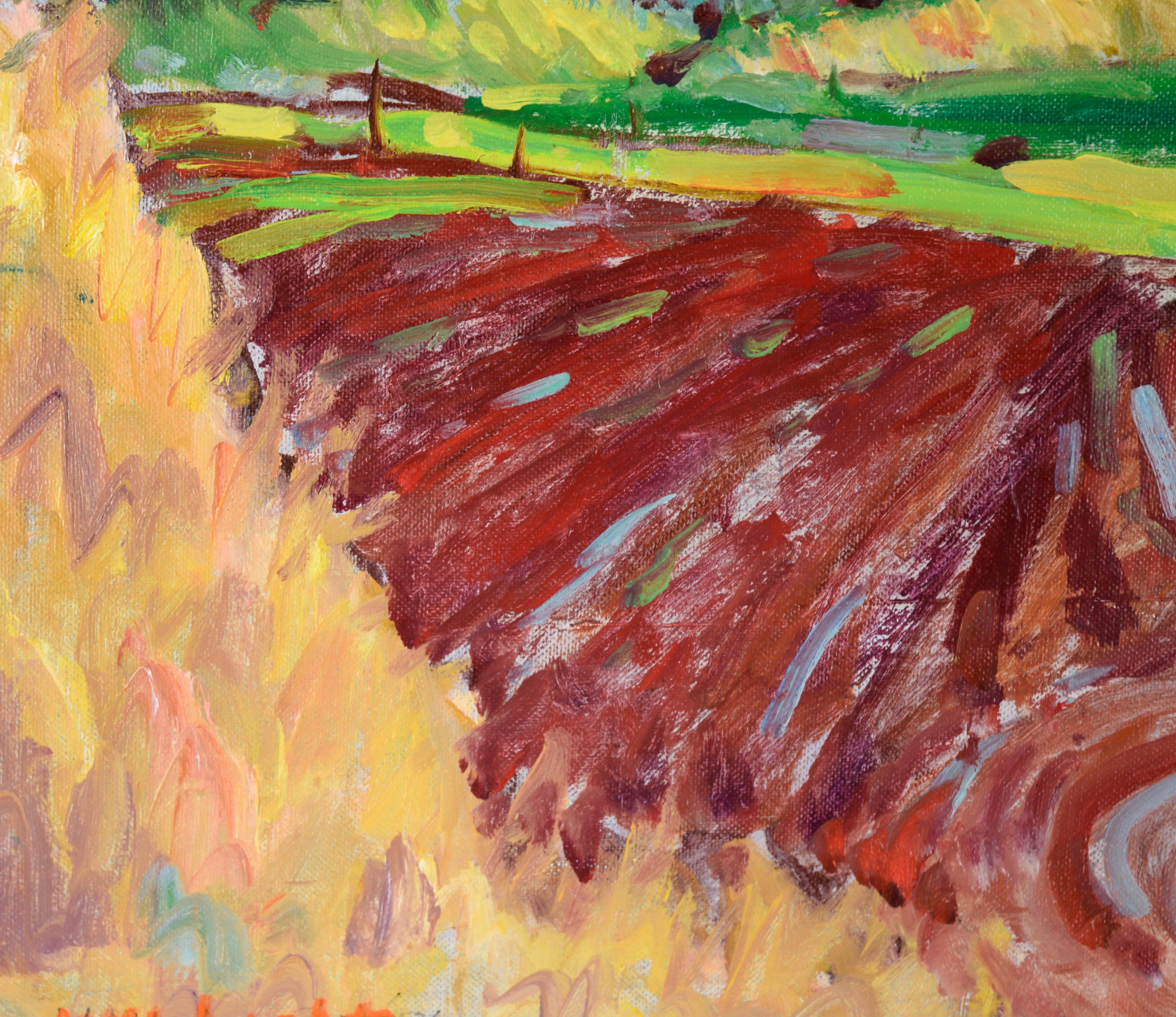 « Salinas Valley Farm » - Paysage fauviste à l'huile sur panneau d'artiste en vente 2