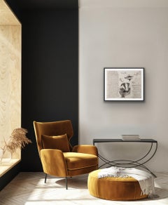 Badger Studies, Art print, Animal Art, Mathematics, Badger