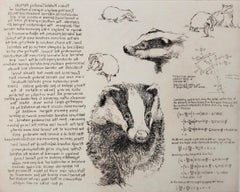 Badger Studies, Art print, Animal Art, Mathematics, Badger 