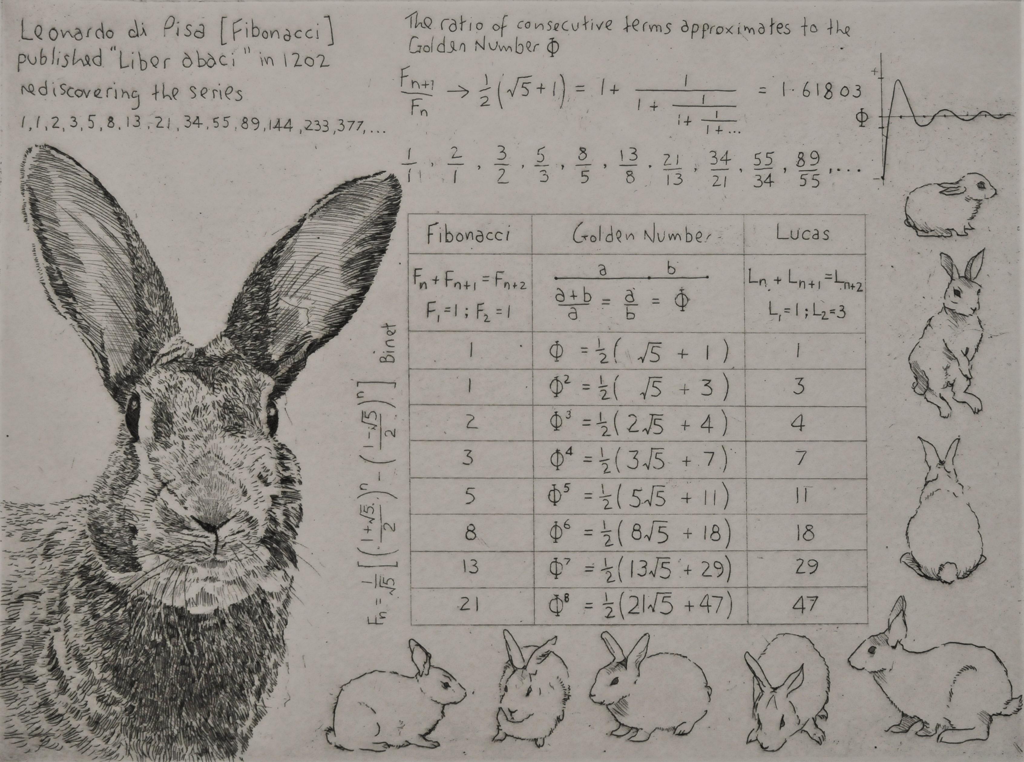 Fibonacci's Rabbit, Art print, Animal Art, Mathematics - Print by Will Taylor