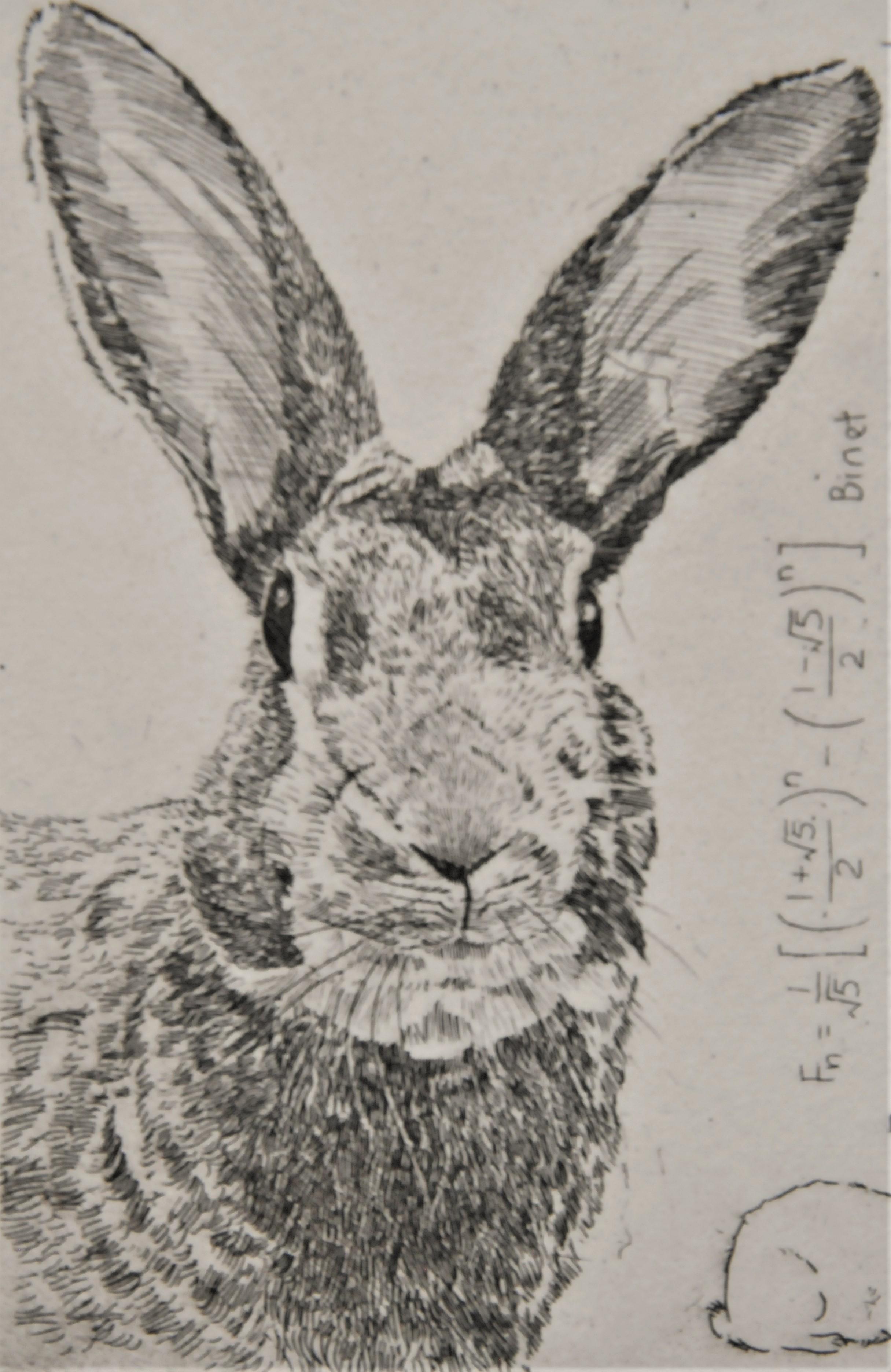 Lapin de Fibonacci, impression d'art, art animalier, mathématiques - Gris Animal Print par Will Taylor