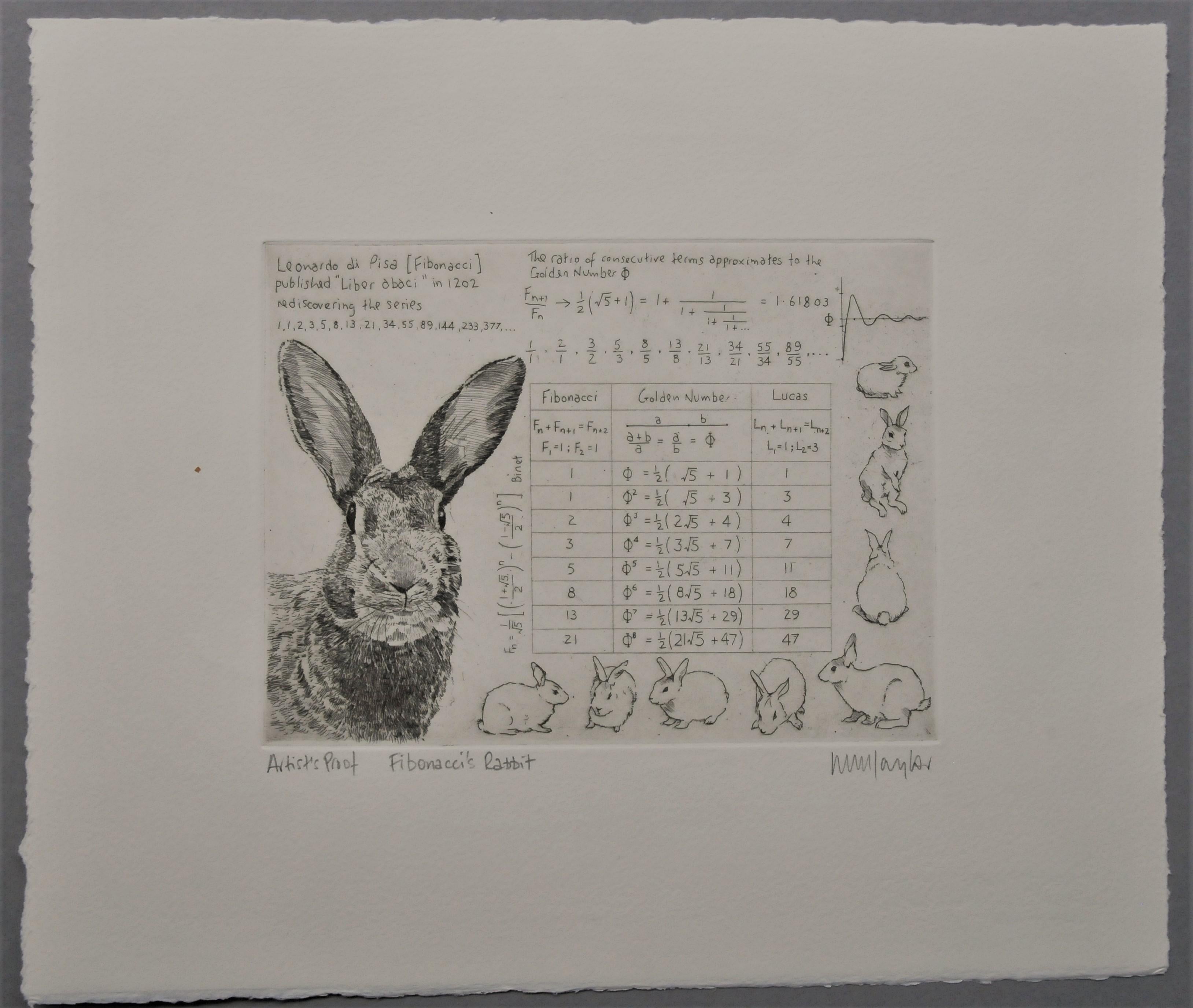 Lapin de Fibonacci, impression d'art, art animalier, mathématiques en vente 2