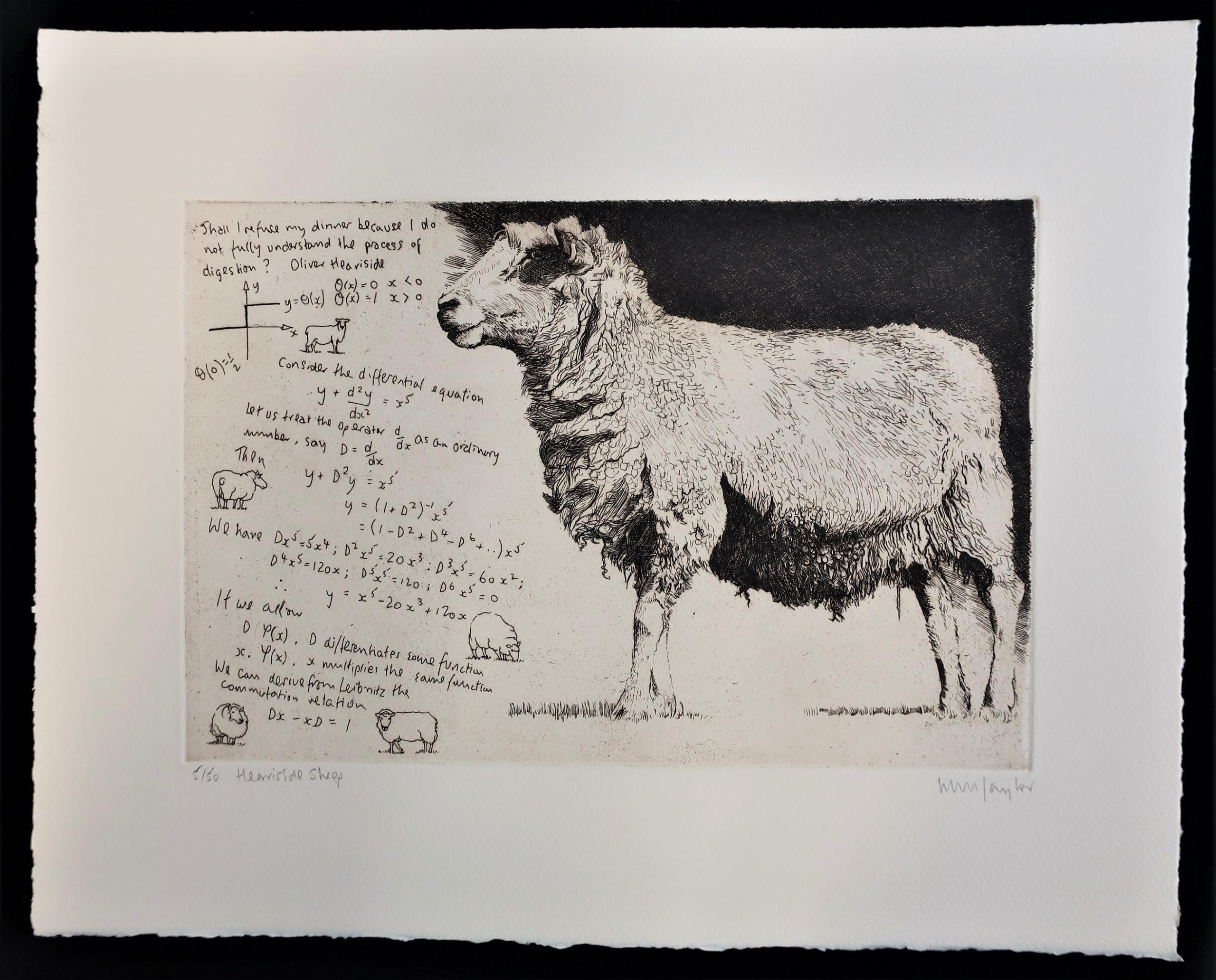 Heaviside Sheep by Will Taylor, Copper Plate Etching Print, Animal art For Sale 1