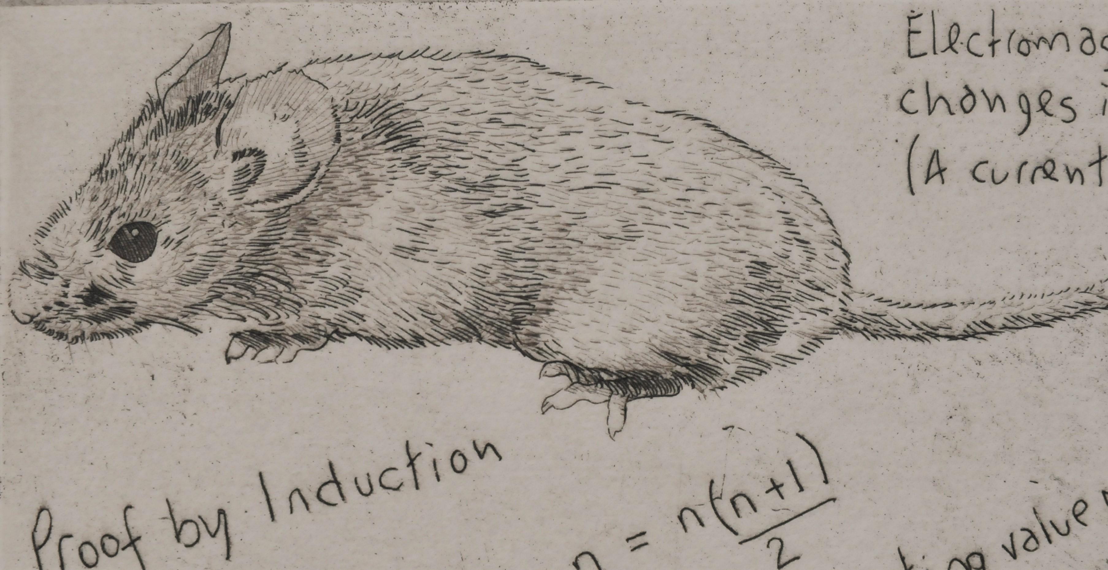 Induction Course, Art print, Animal Art, Mathematics, mouse  - Gray Print by Will Taylor