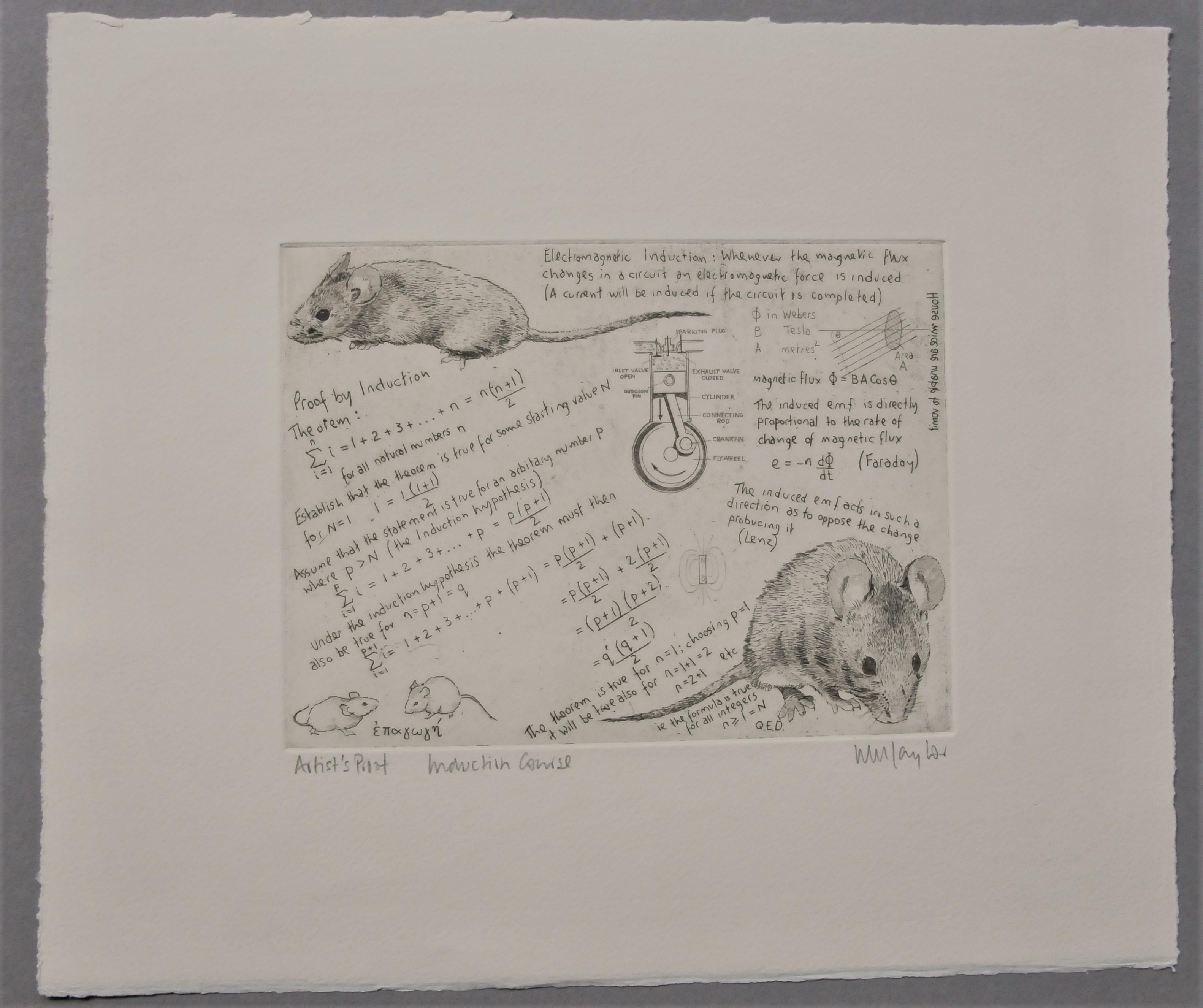 Induction Course, Art print, Animal Art, Mathematics, mouse  For Sale 2